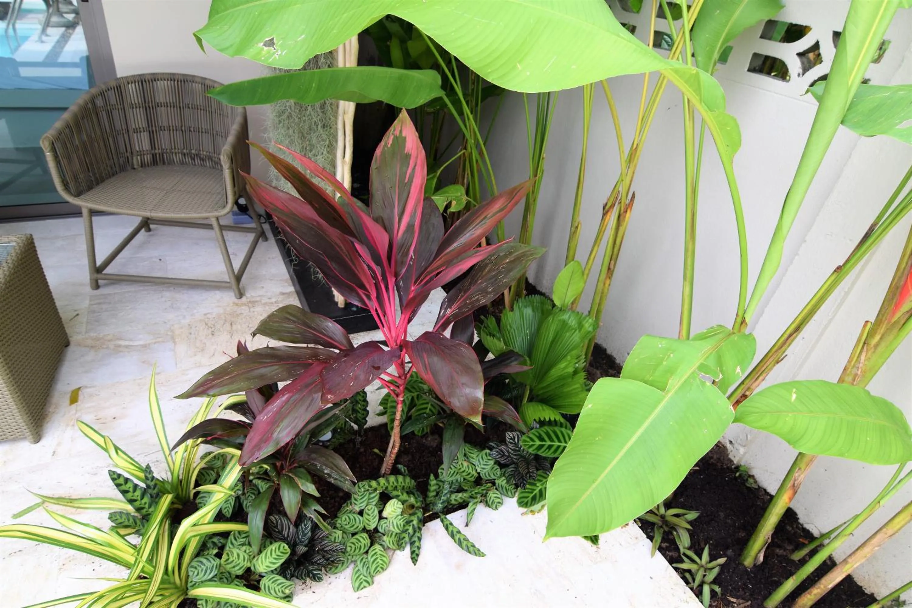 Garden view in AMAYA Resort