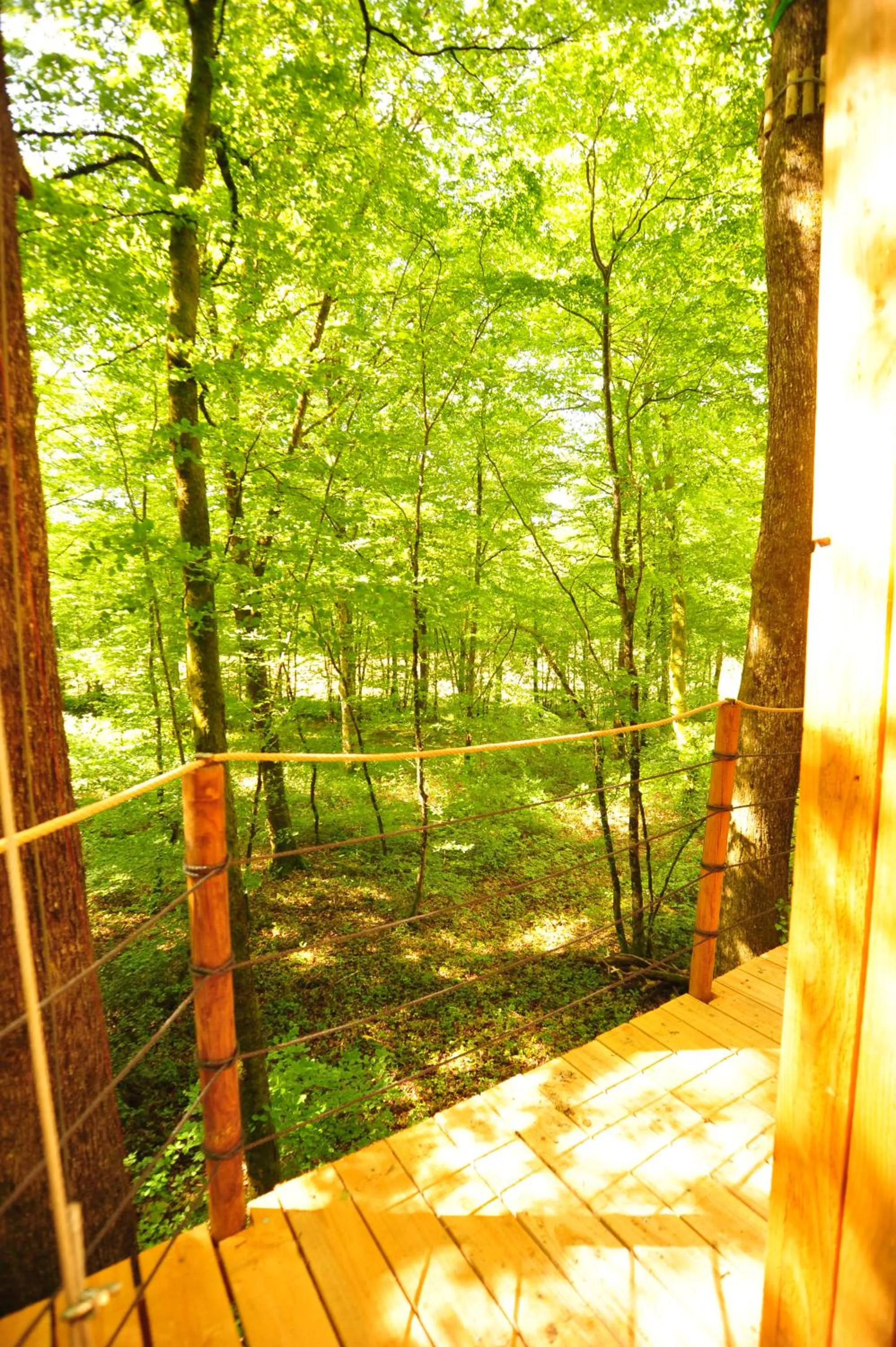 Garden view in Cabanes Espace Fouletot