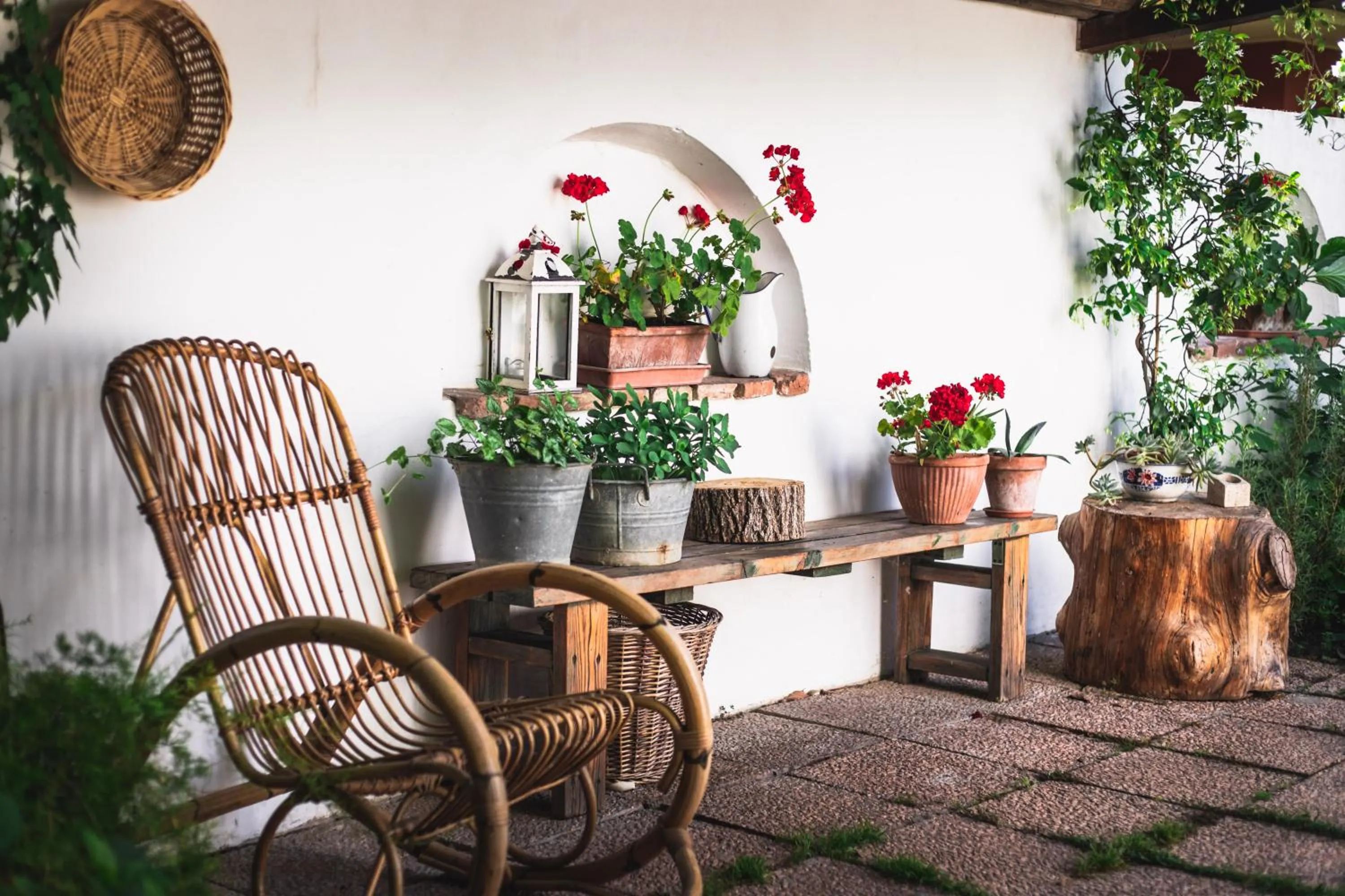 Garden in A casa mia