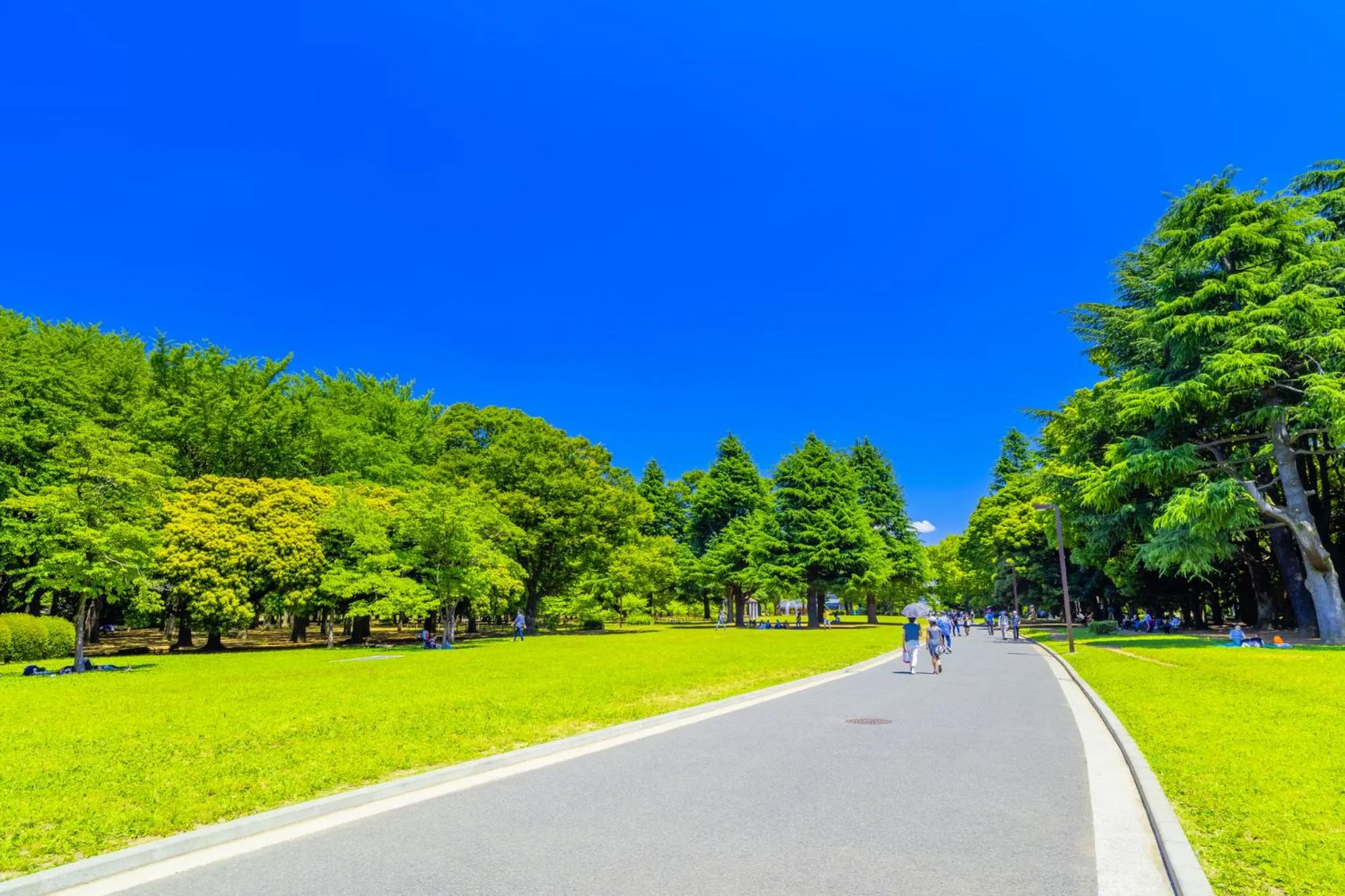 Nearby landmark in Tabist Hotel New Washington Shibuya