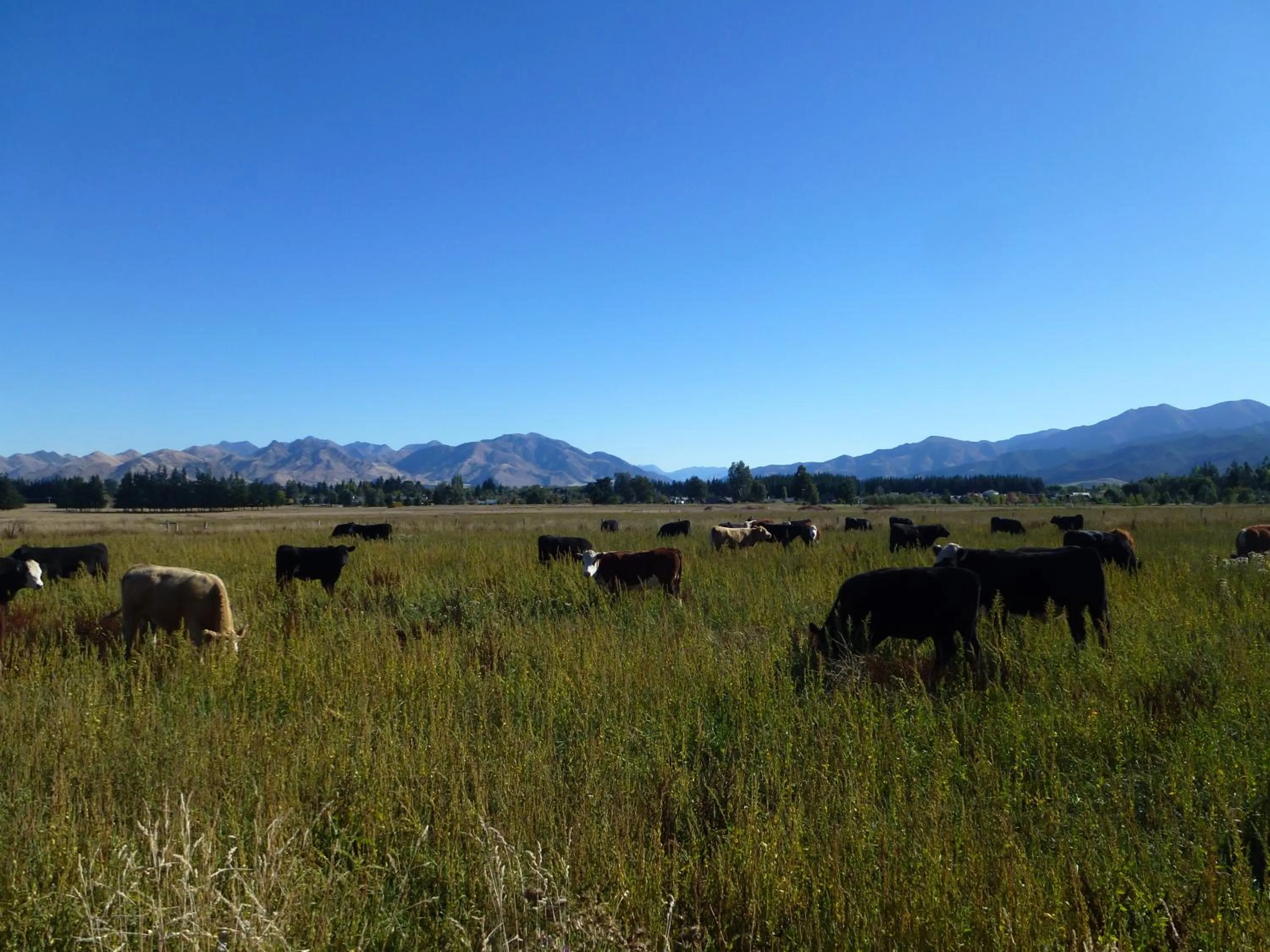 Mountain view in Hanmer Springs Scenic Views Motel