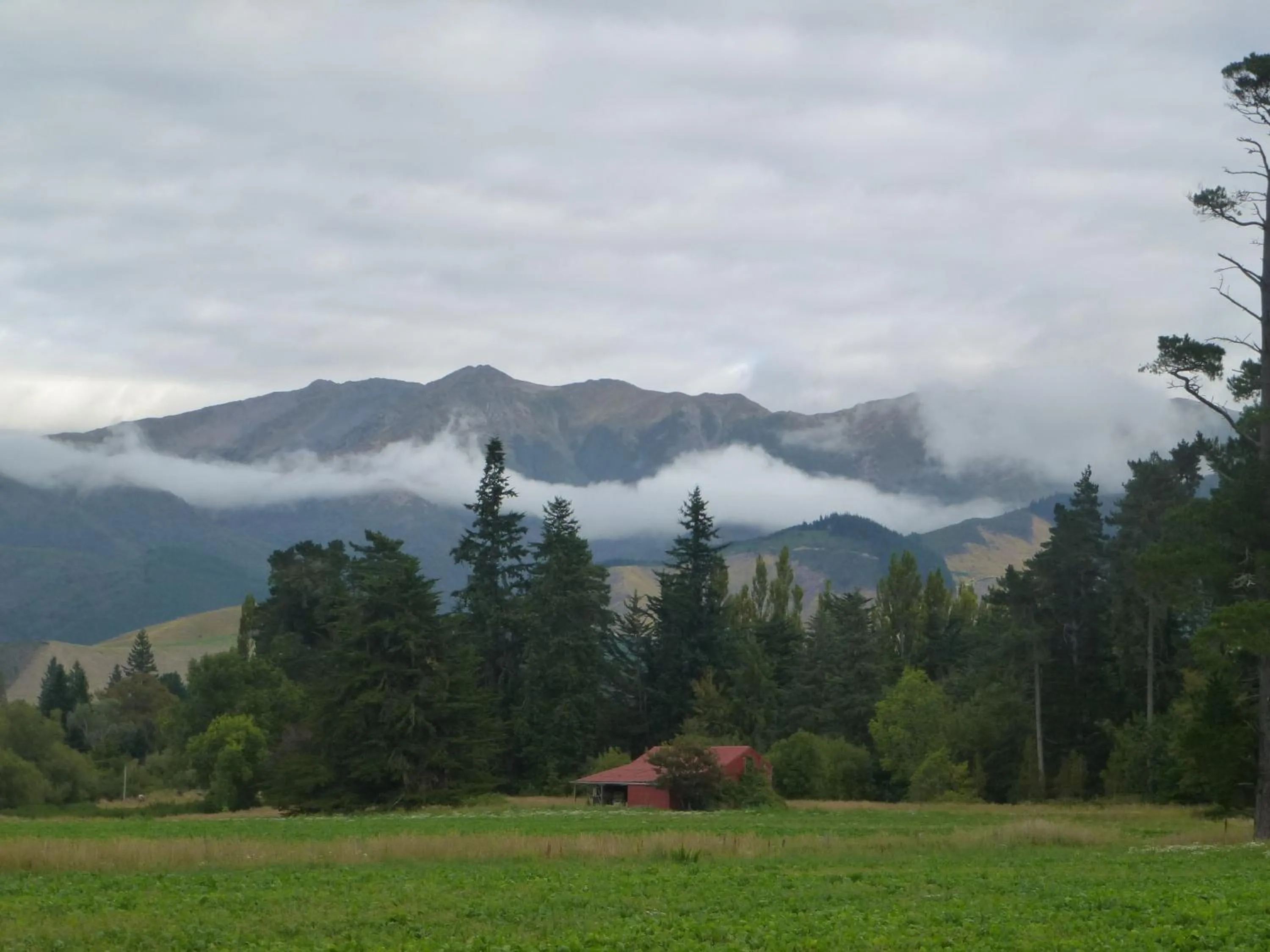 View (from property/room) in Hanmer Springs Scenic Views Motel