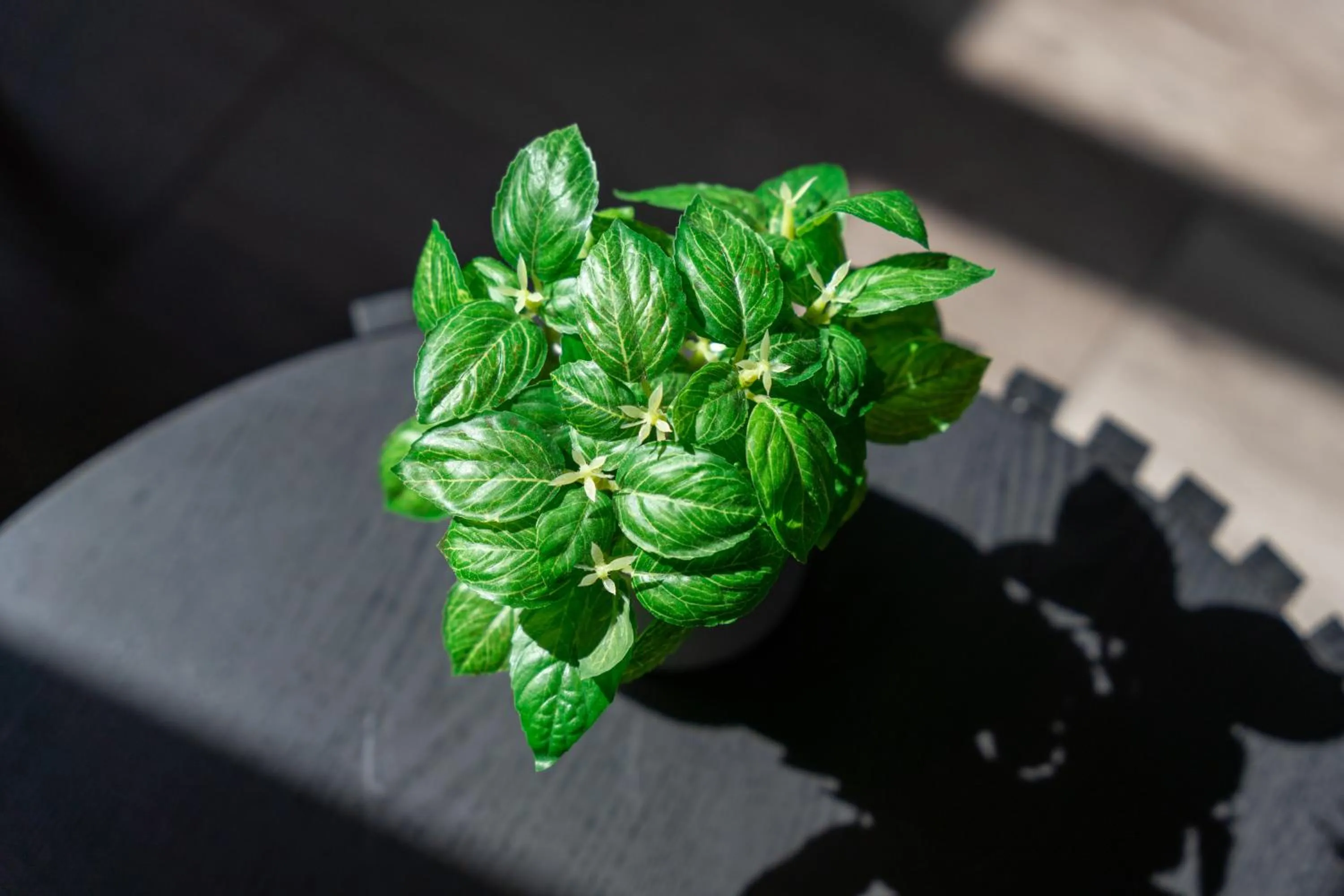 Decorative detail in Motel 10