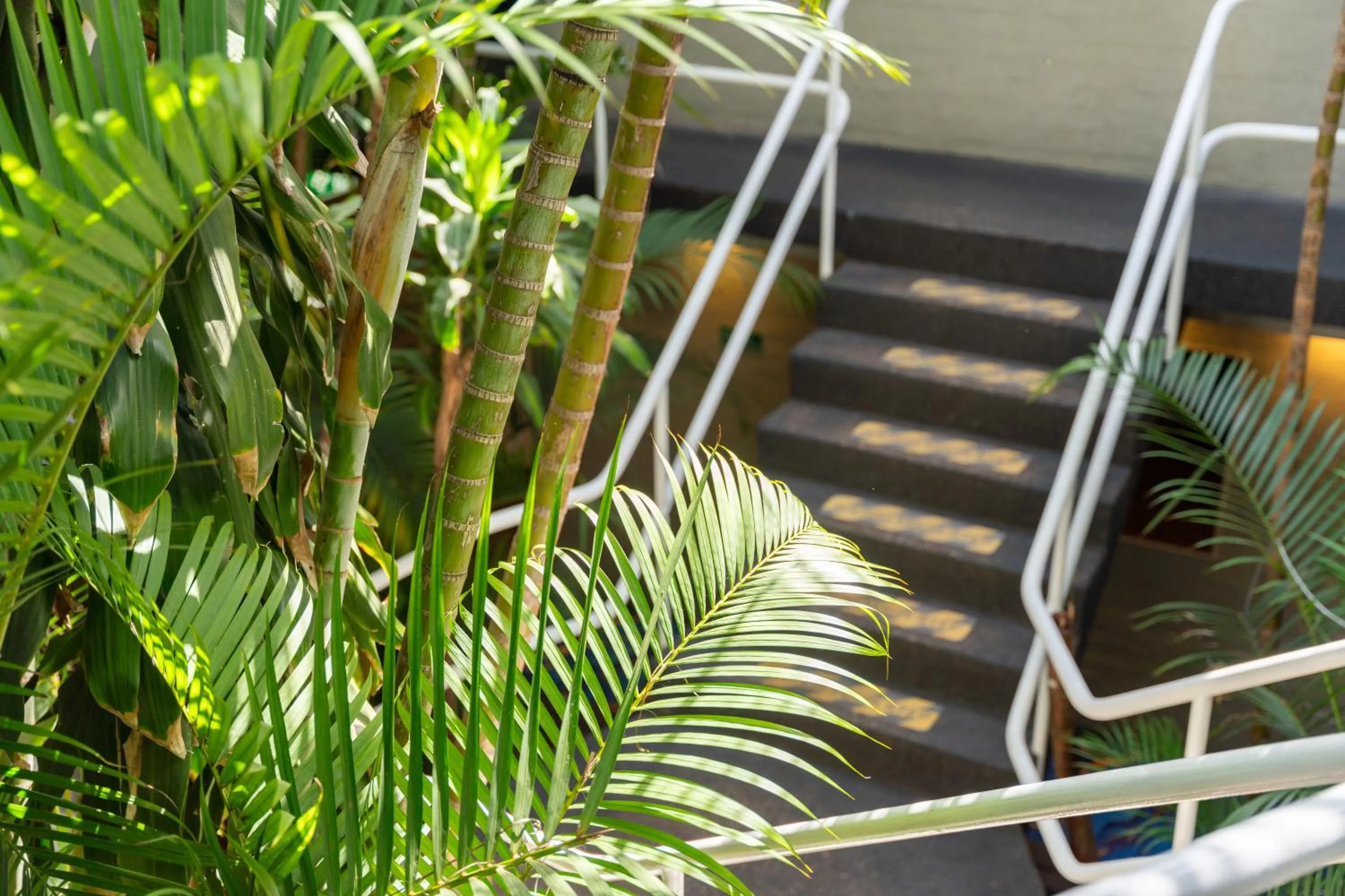 Property building in Motel 10