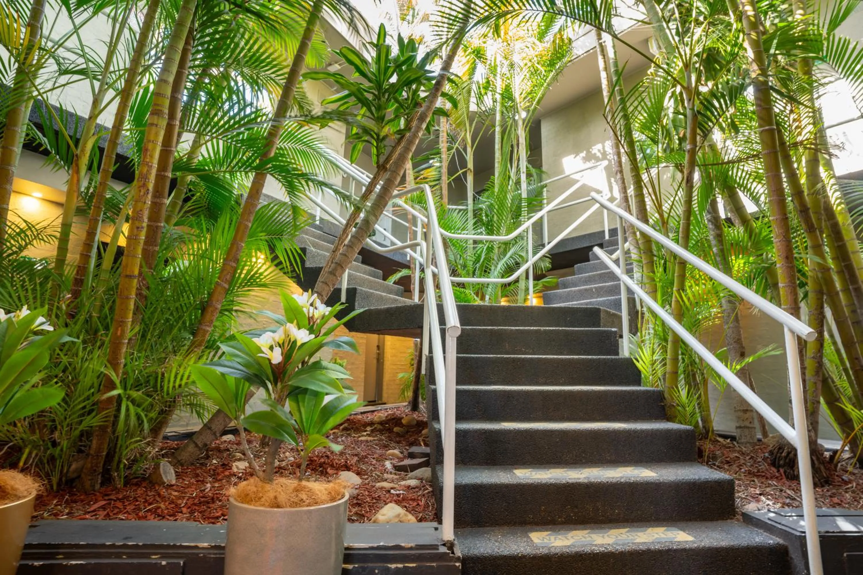 Natural landscape in Motel 10