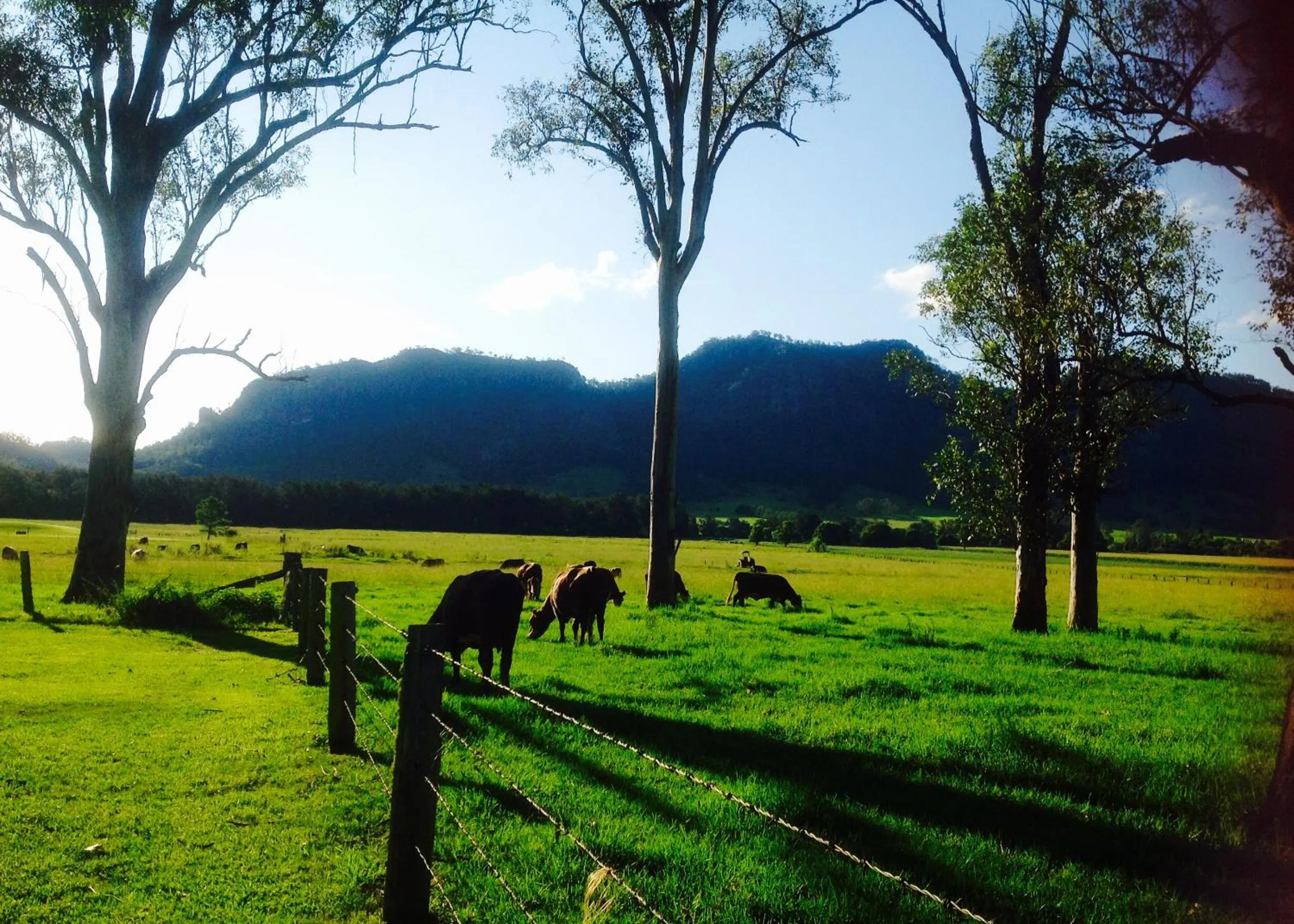 Neighbourhood in Gloucester Country Lodge Motel