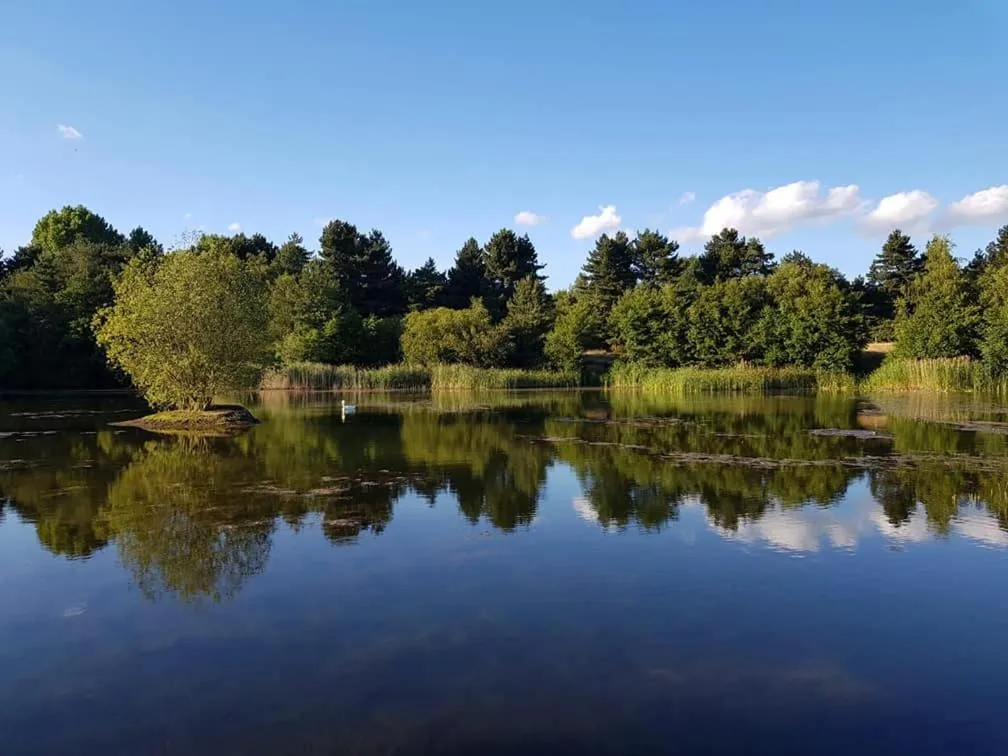 Plumptons Farm Holiday Lodges