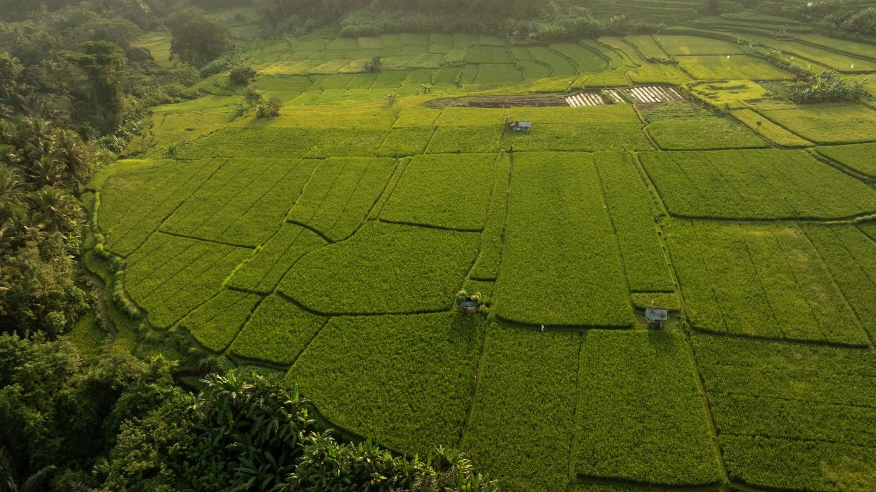 View (from property/room) in Bambu Indah Resort