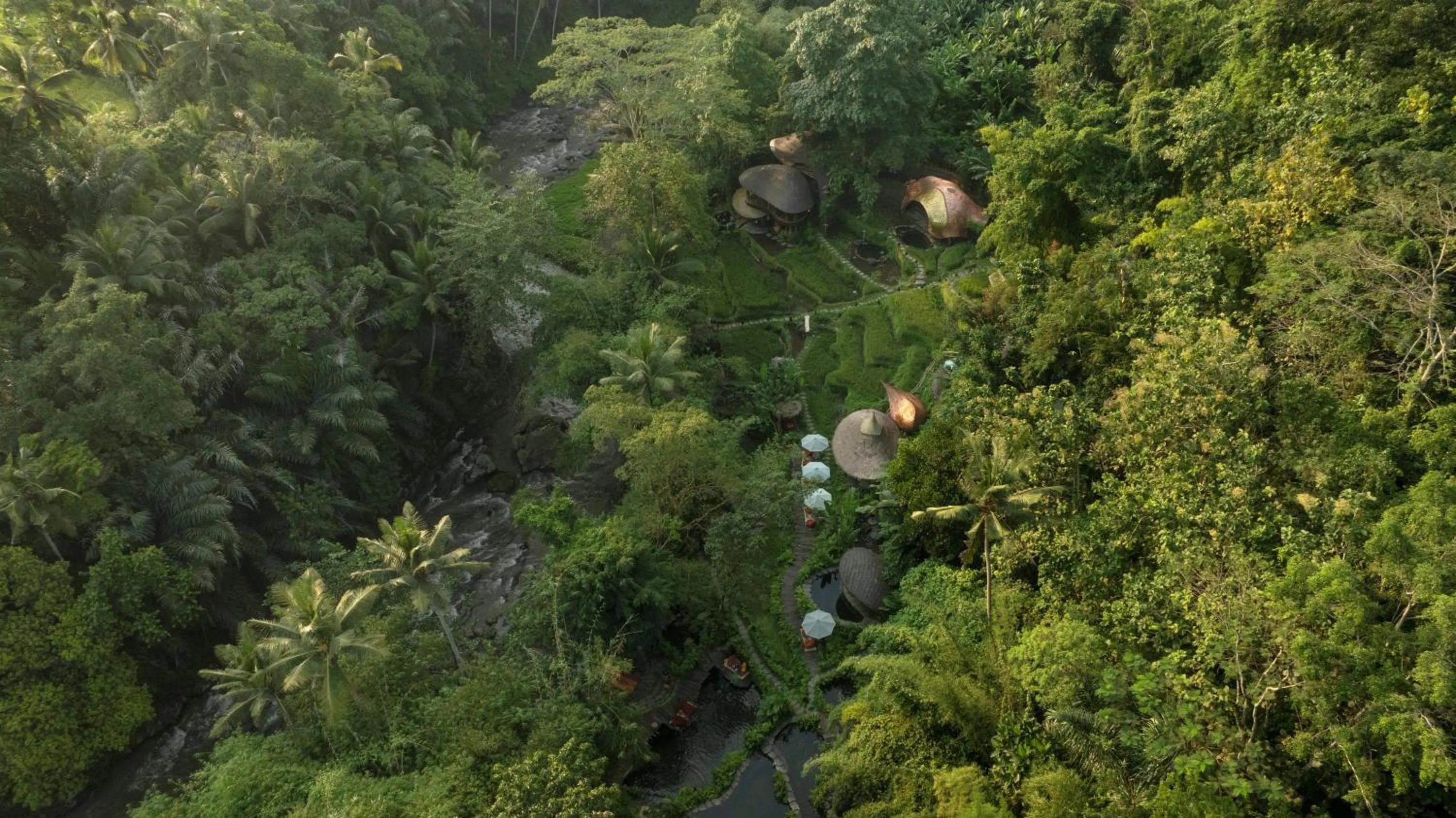 View (from property/room) in Bambu Indah Resort