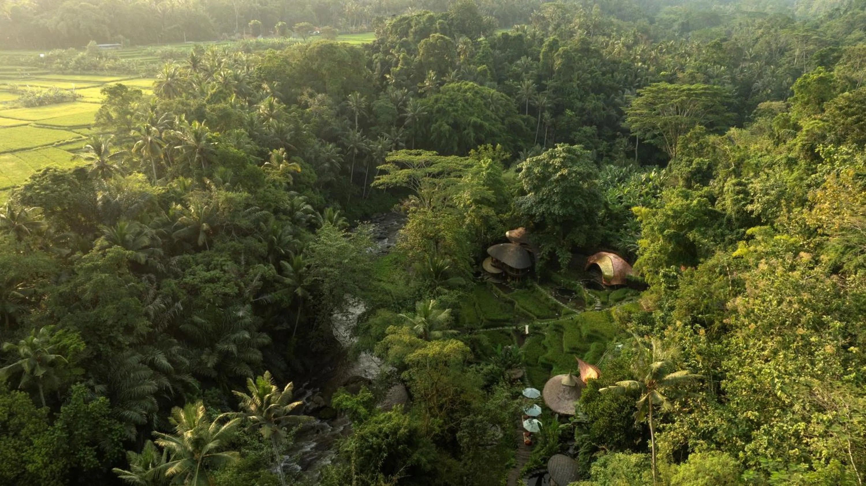 View (from property/room) in Bambu Indah Resort