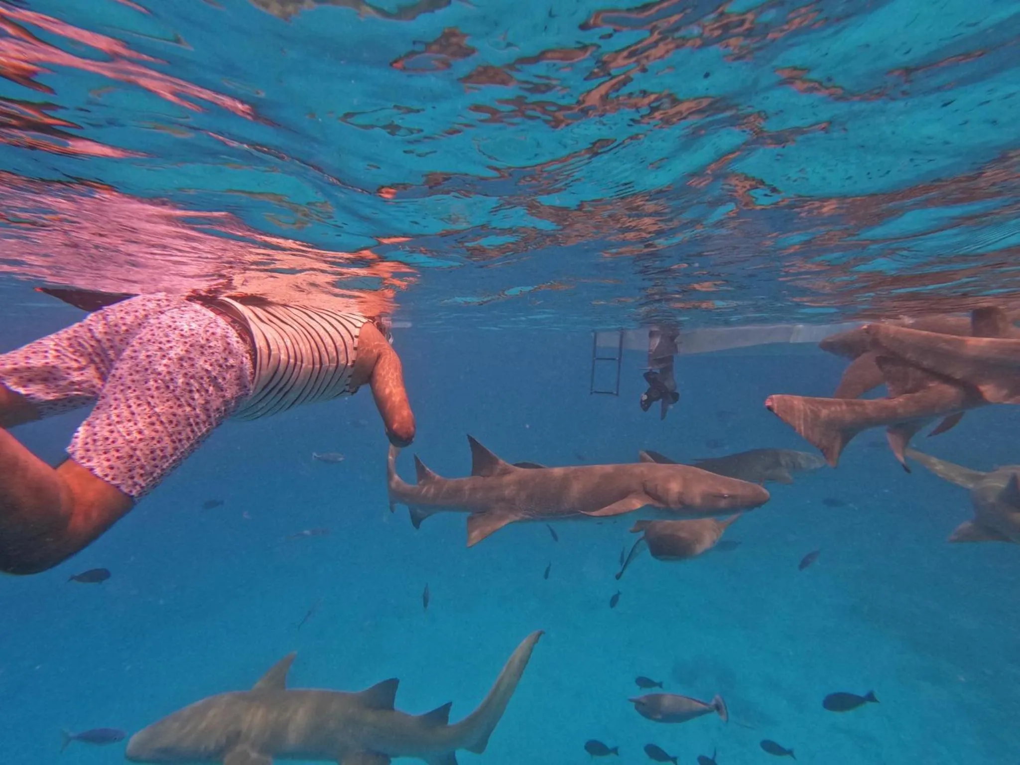 People in Galaxy Sunrise Sea View