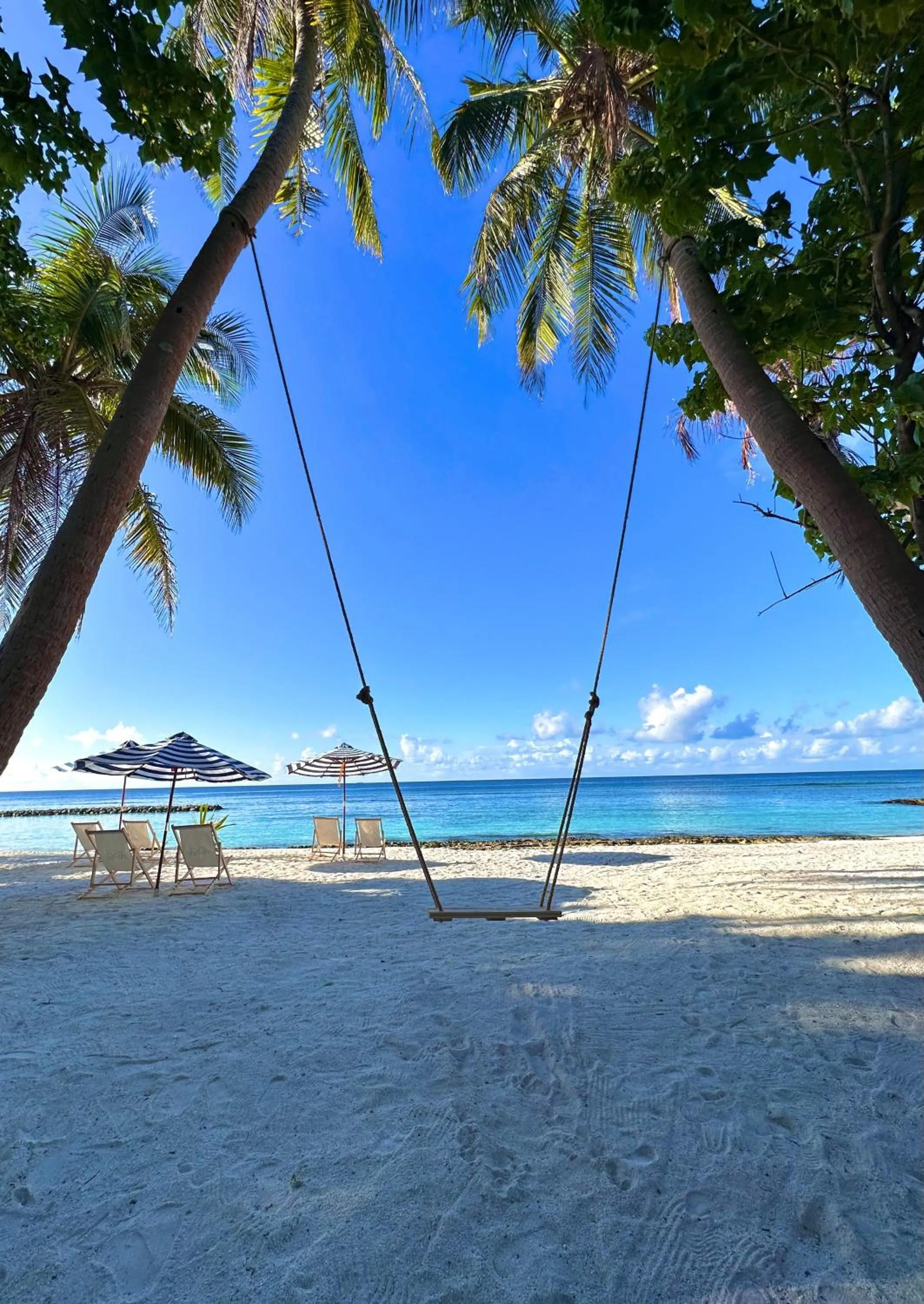 Day in Galaxy Sunrise Sea View