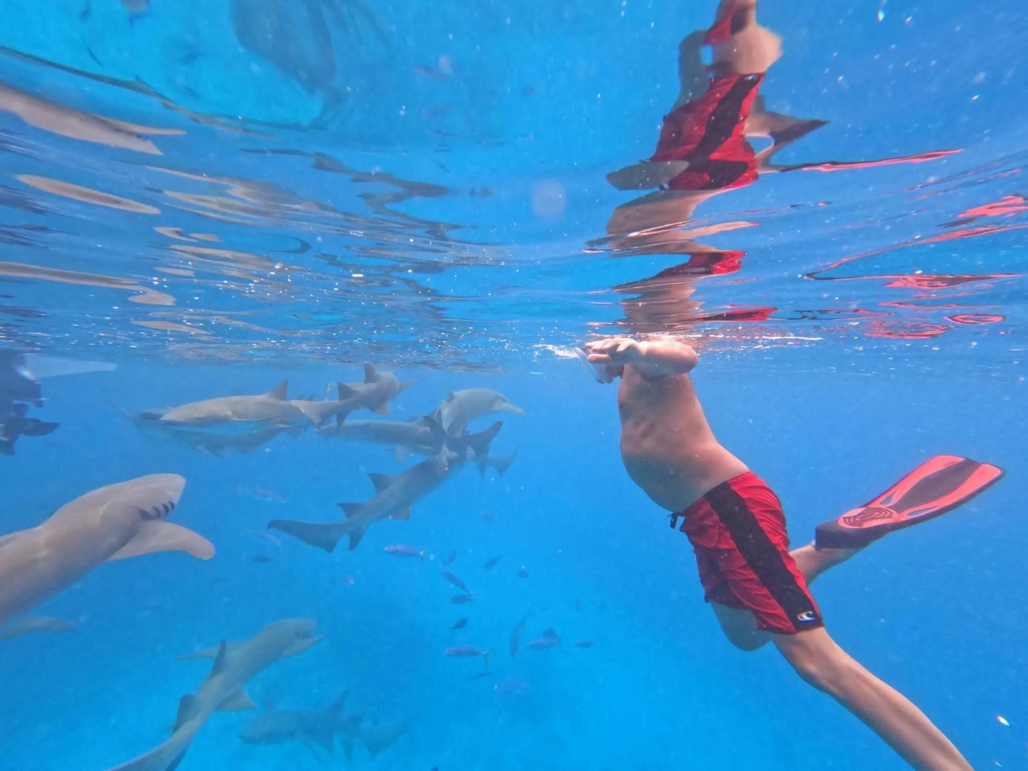 Natural landscape in Galaxy Sunrise Sea View