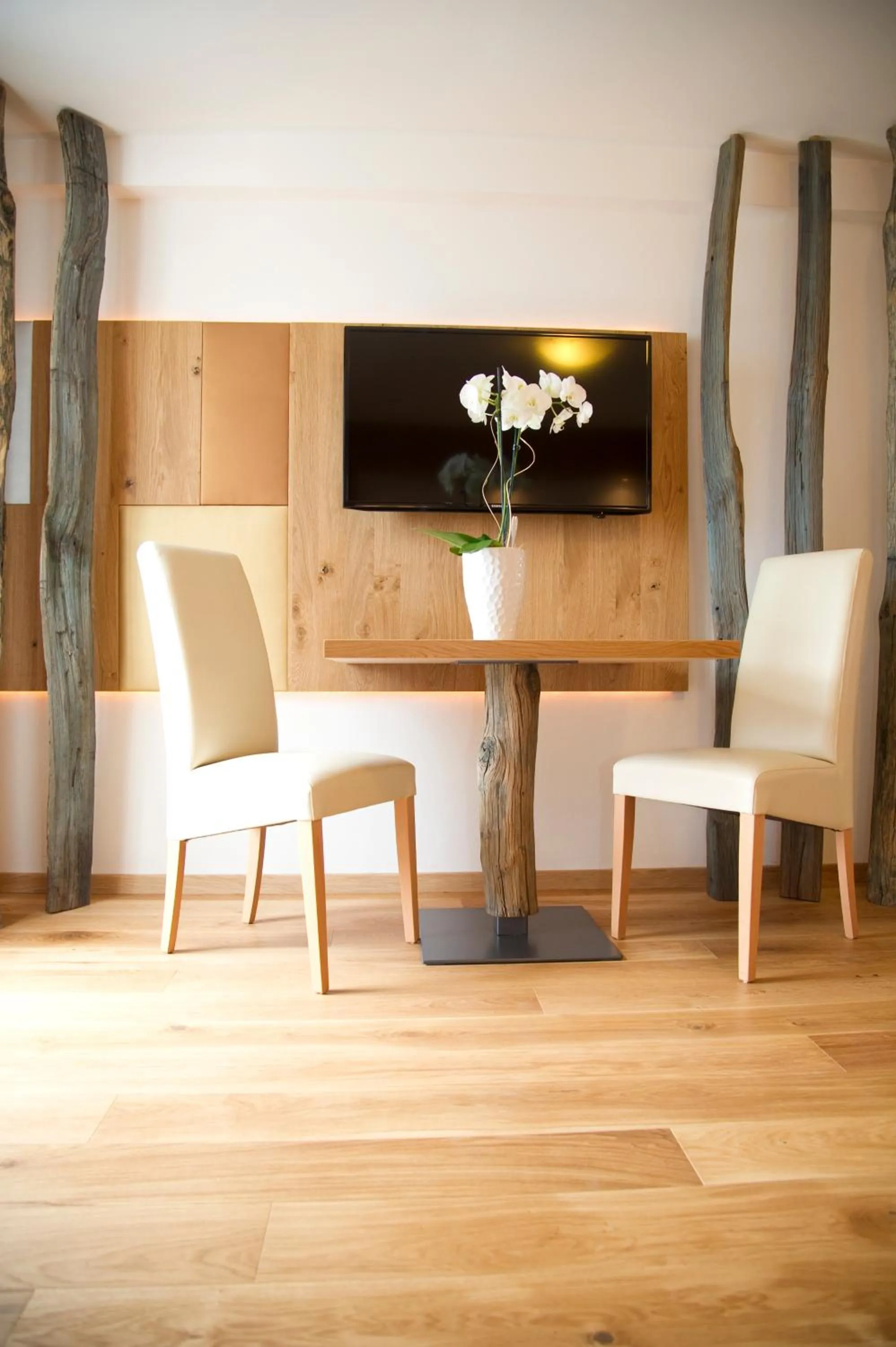 TV and multimedia in Panorama