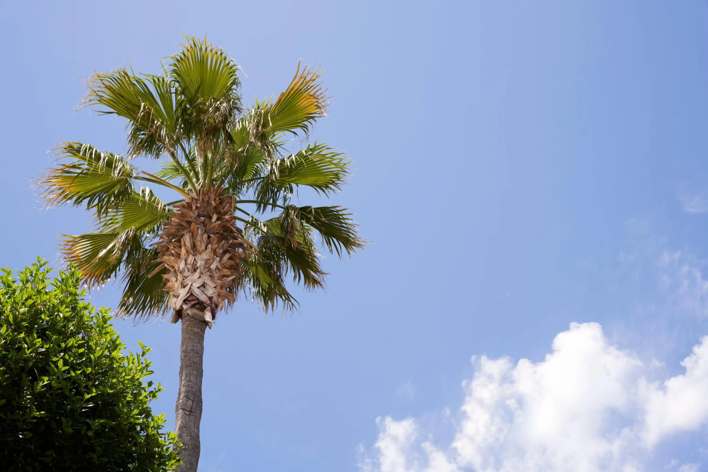 View (from property/room) in Xenia Poros Image Hotel