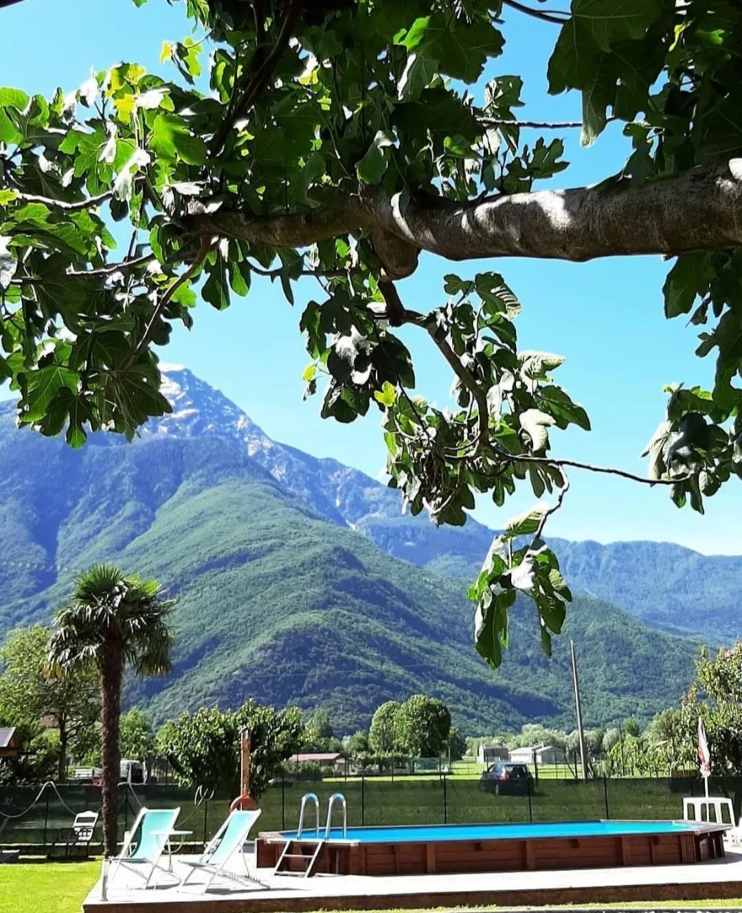 Garden view in B&B Zia Vivina