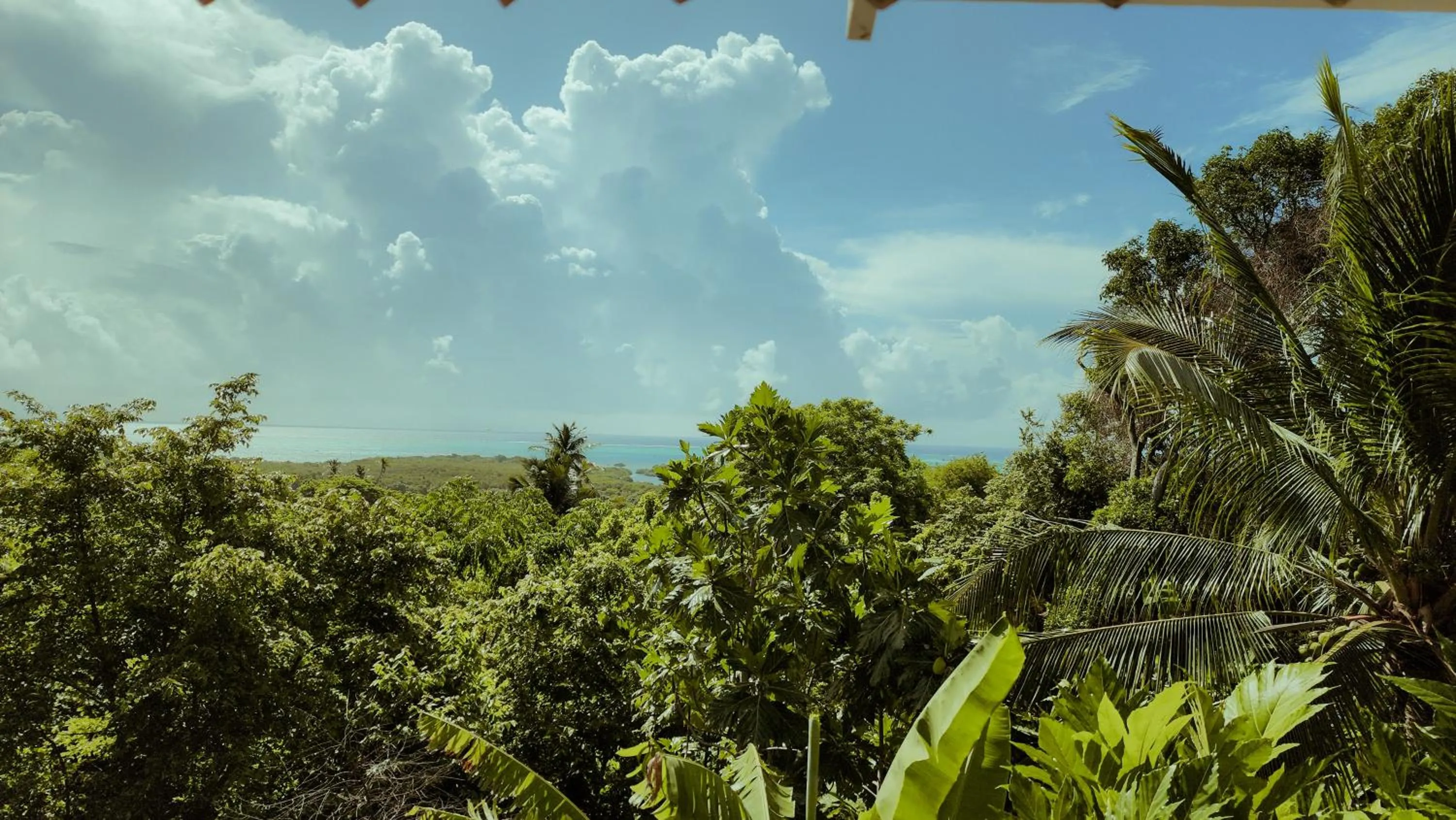 POSADA NATIVA DERMA´S INN