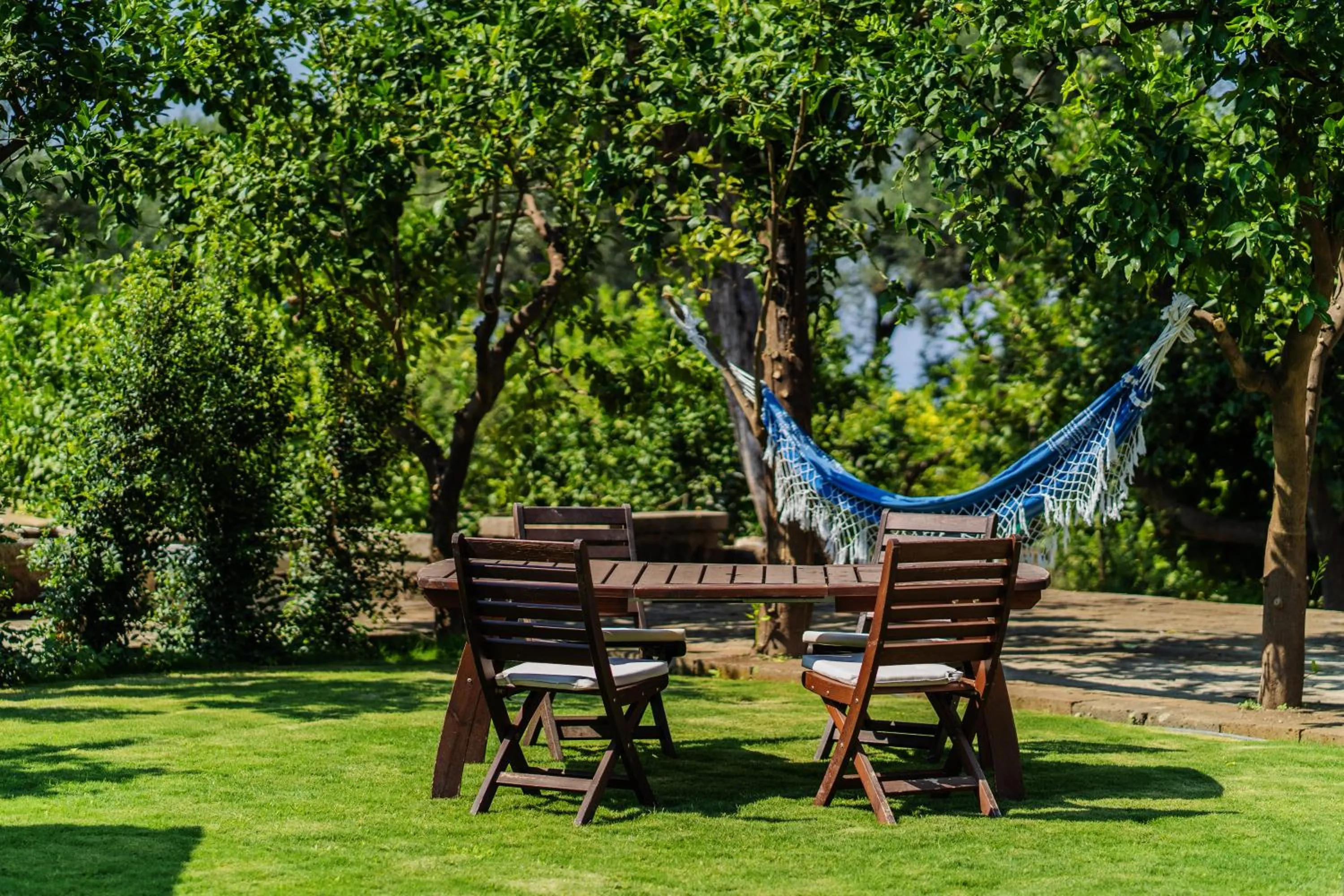 Garden in Lemon Factor Sorrento
