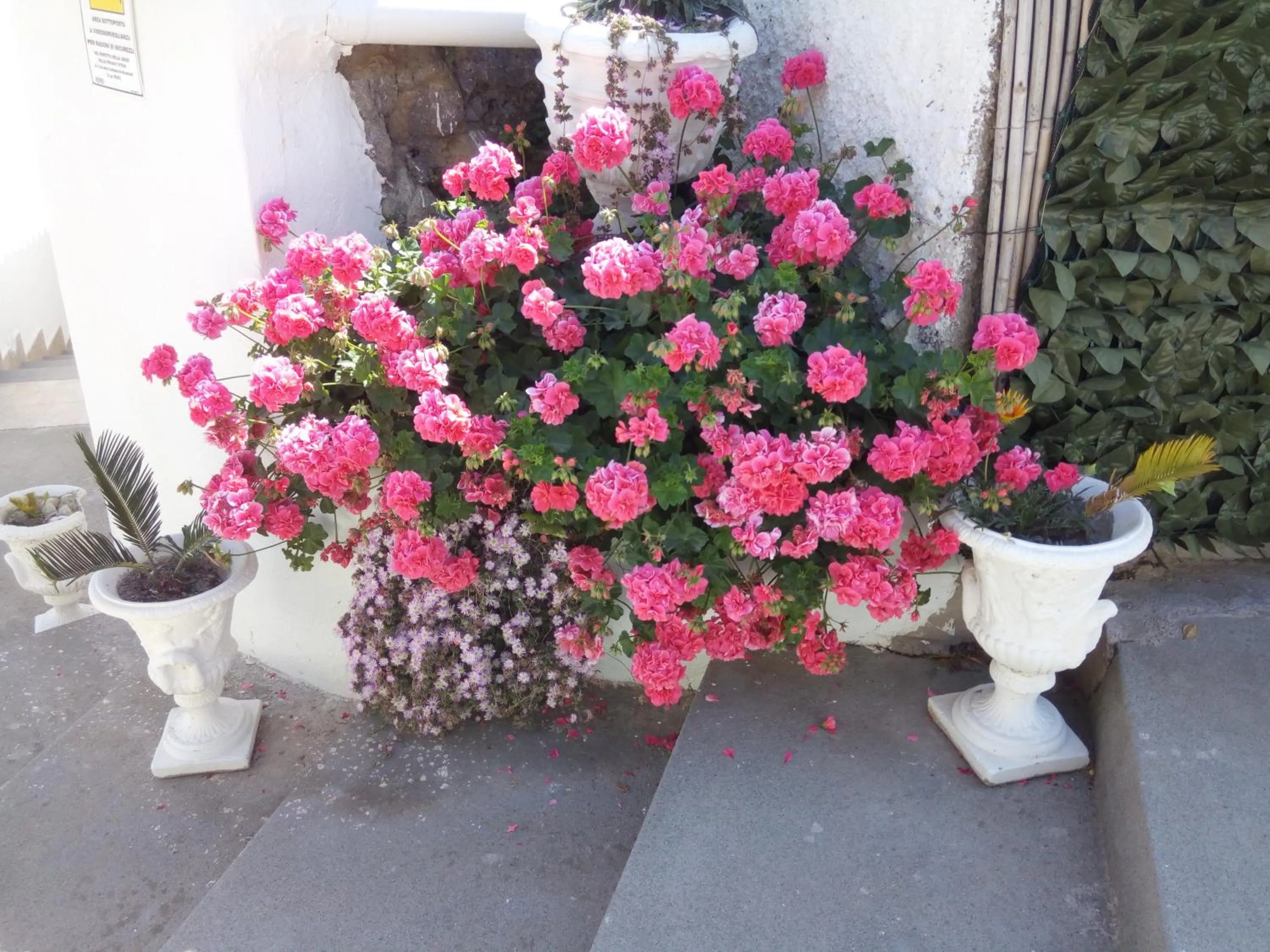 Spring in Villa Natalina