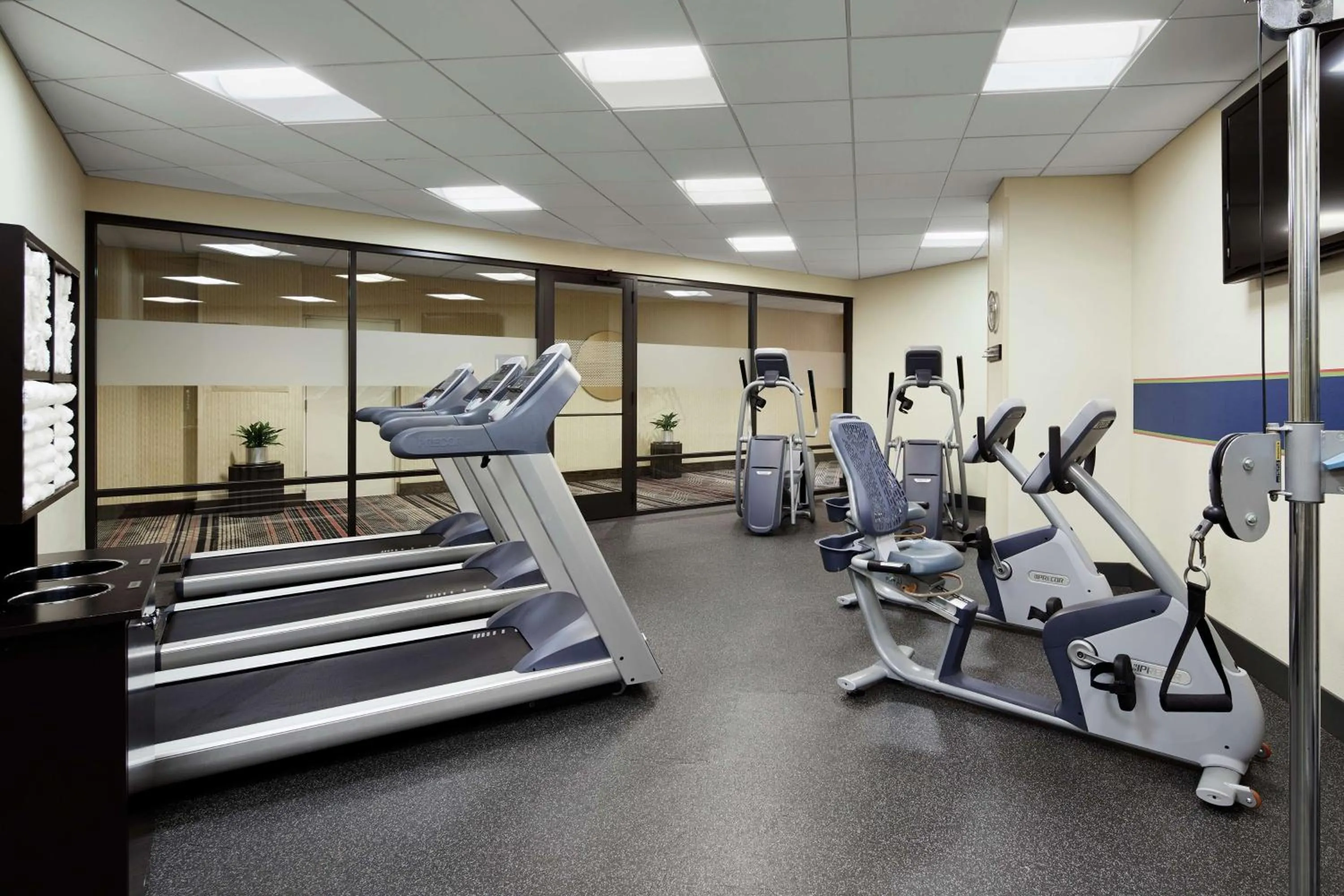 Fitness centre/facilities in Hampton Inn & Suites Mt. Prospect