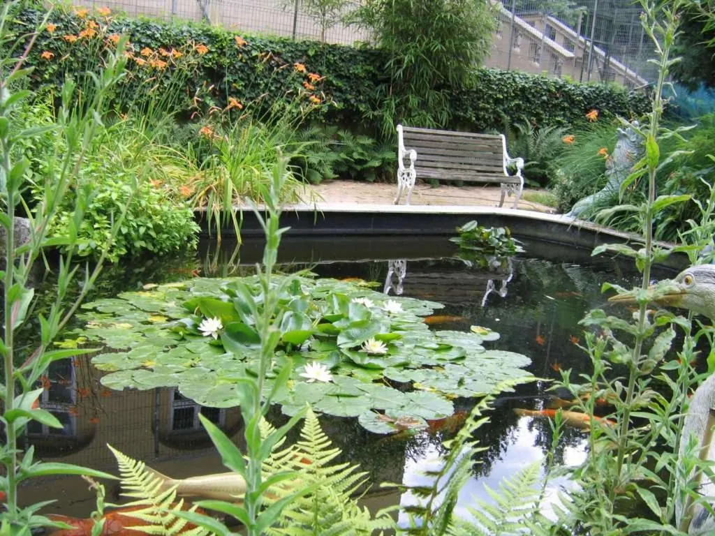 Garden in Hotel Park Villa