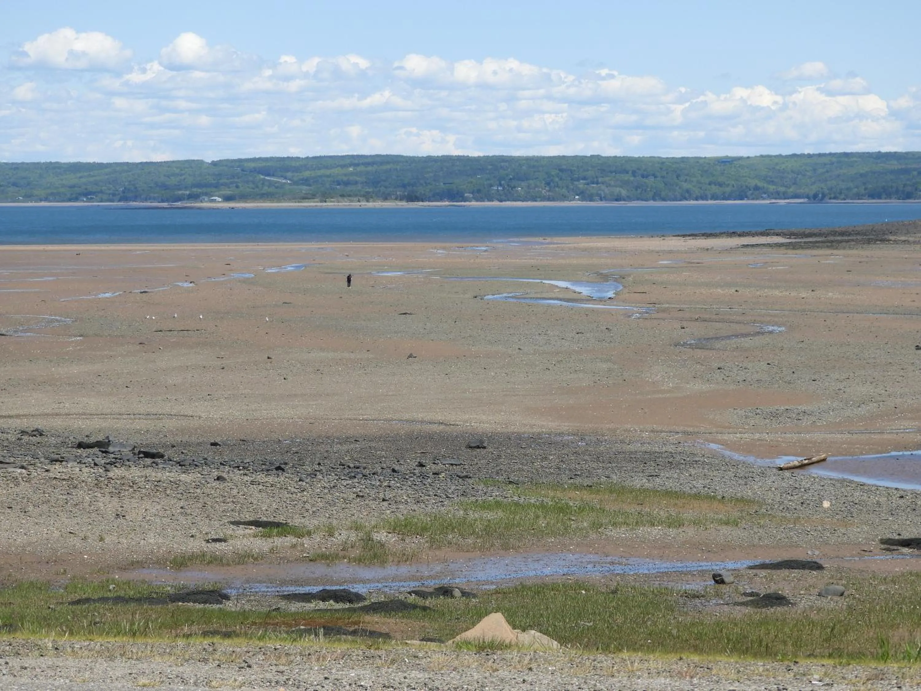 Natural landscape in Admiral Digby Inn Restaurant and Cottages