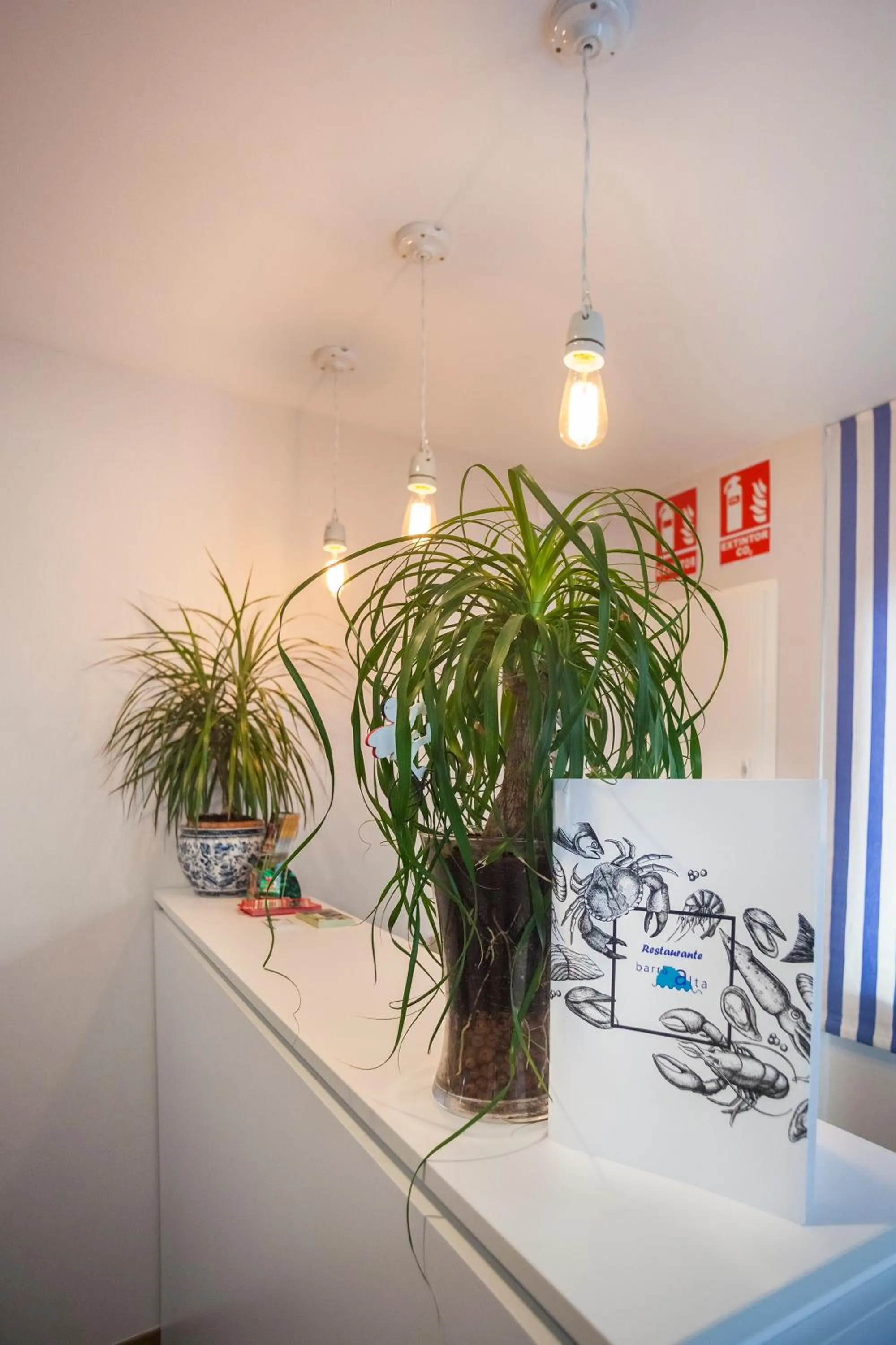 Hotel Boutique Barra Alta (Adults Only)