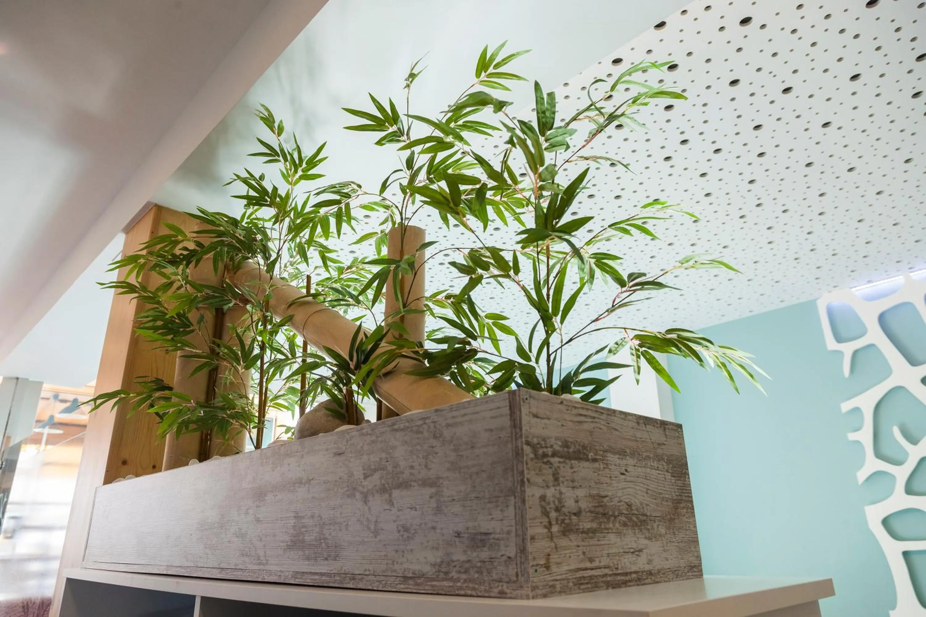 Hotel Boutique Barra Alta (Adults Only)