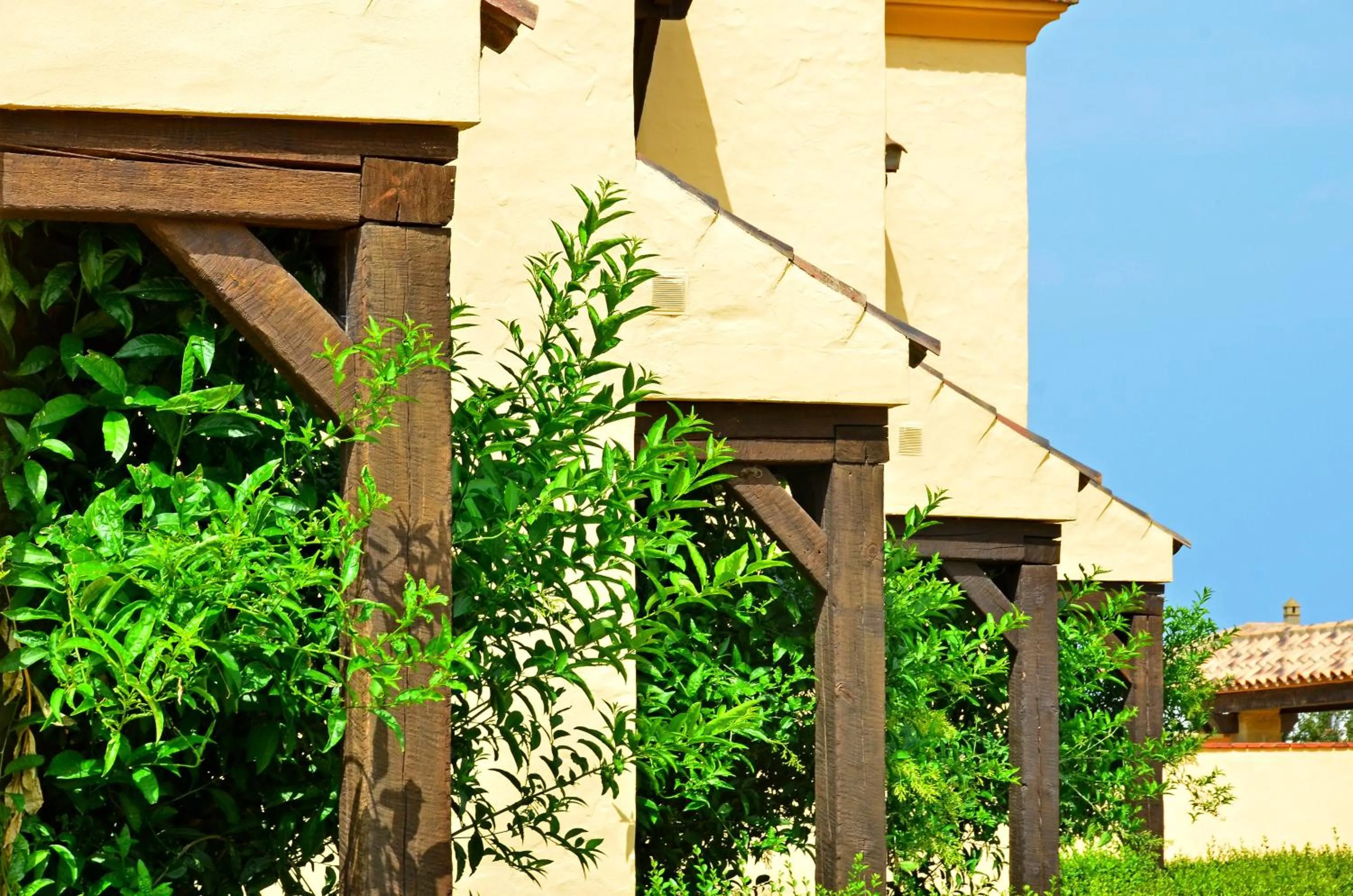 Property building in Apartamentos Villafaro Conil