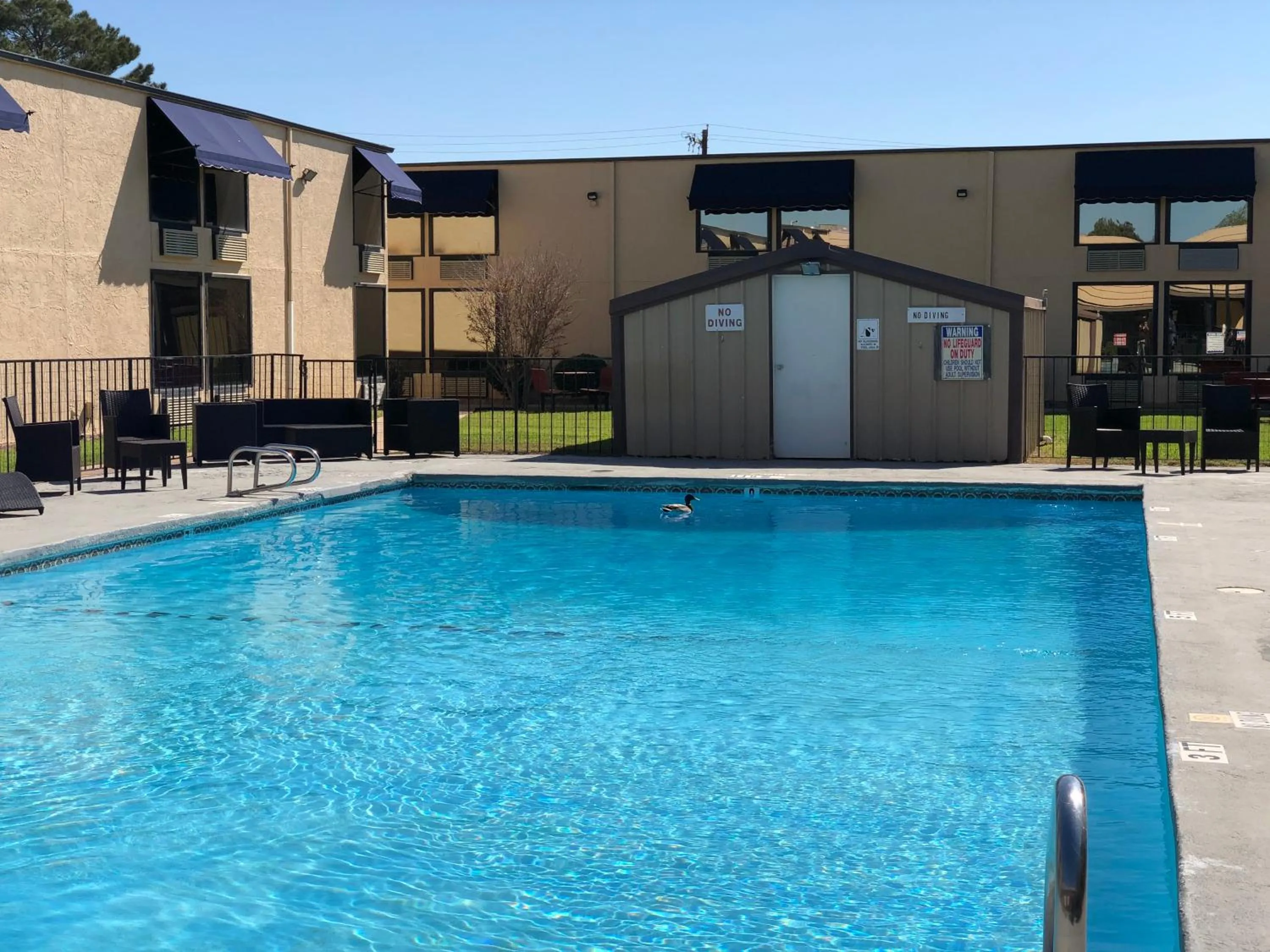 Swimming pool in The Inn and Suites at 34 Fifty