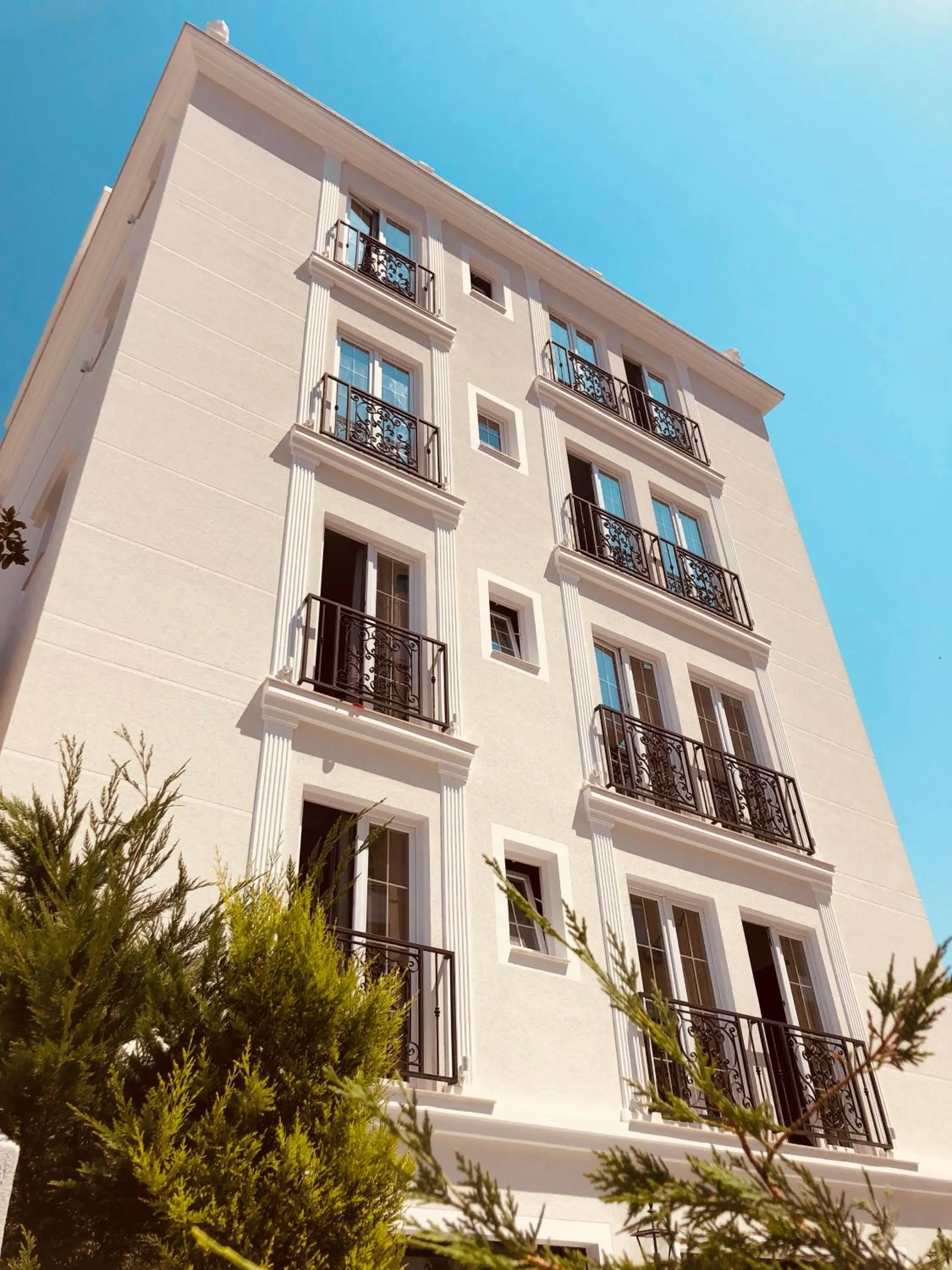 Property building in Ruby Palace