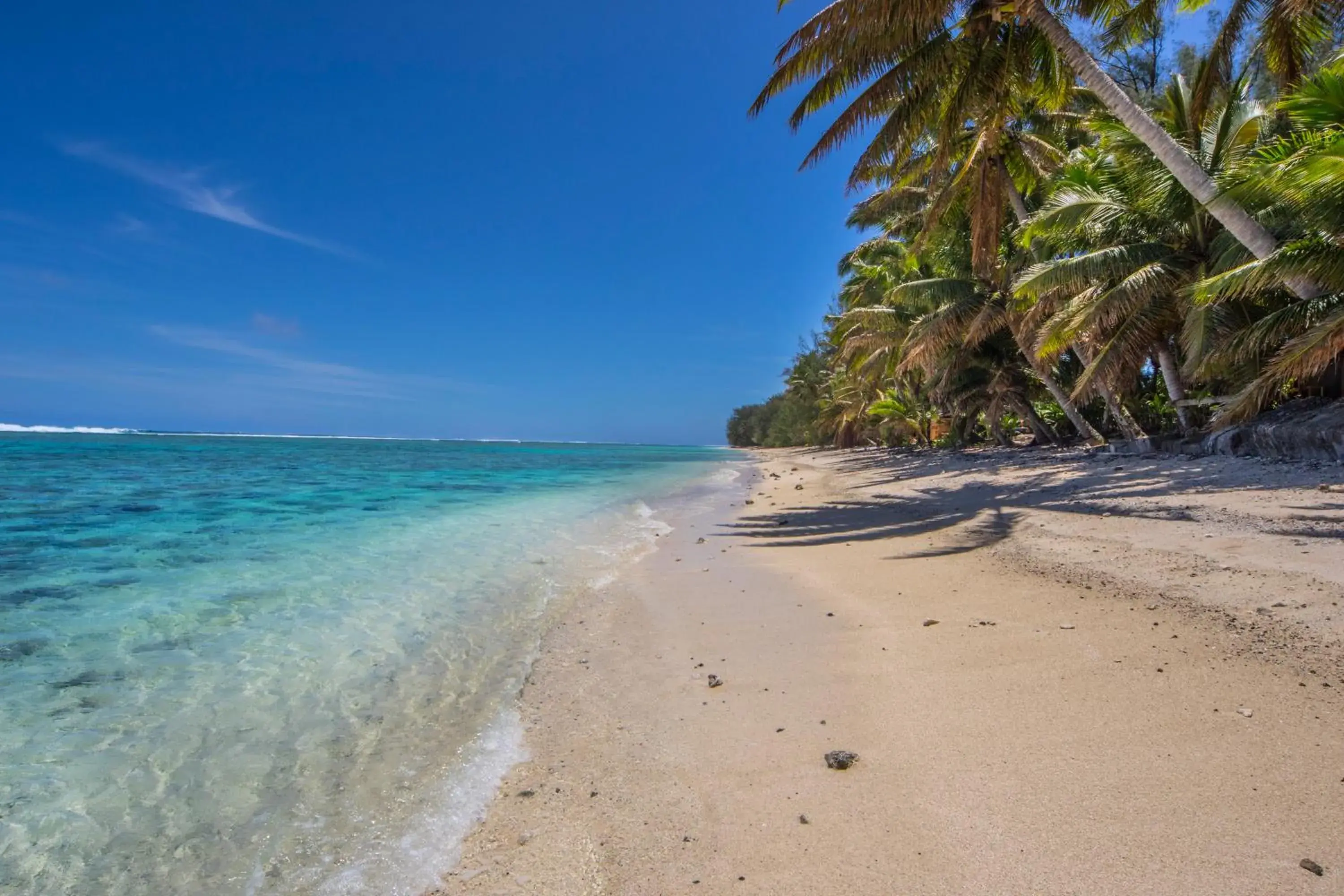 Snorkeling in Lagoon Breeze Villas Snorkeling in Lagoon Breeze Villas