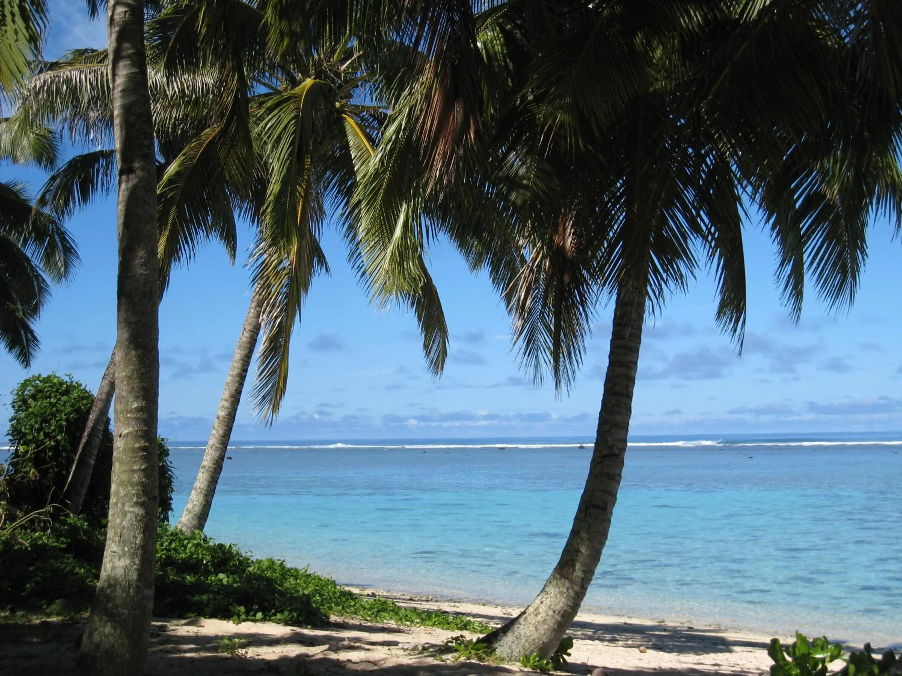 Snorkeling in Lagoon Breeze Villas