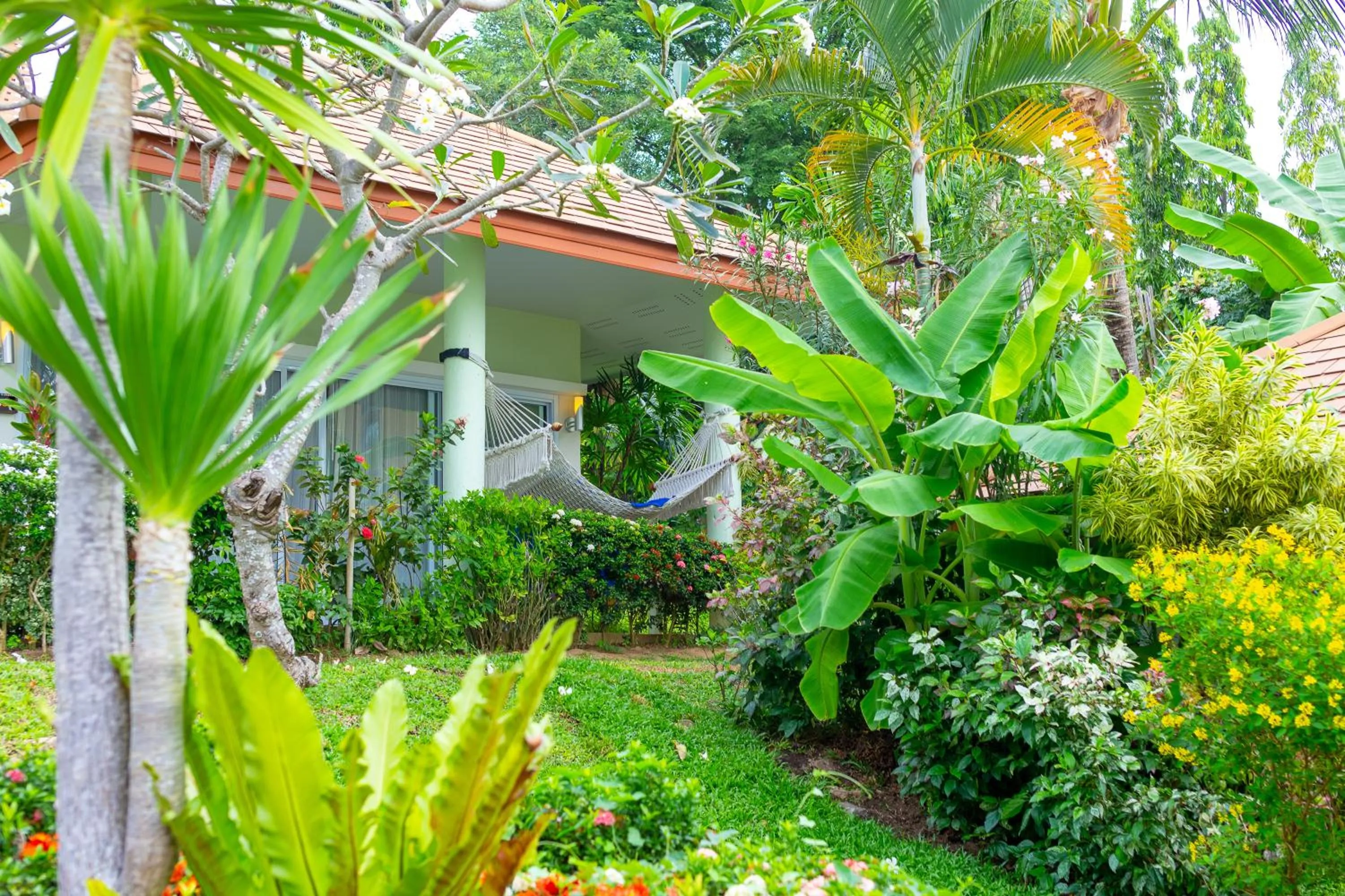 Natural landscape in Palm Coco Mantra