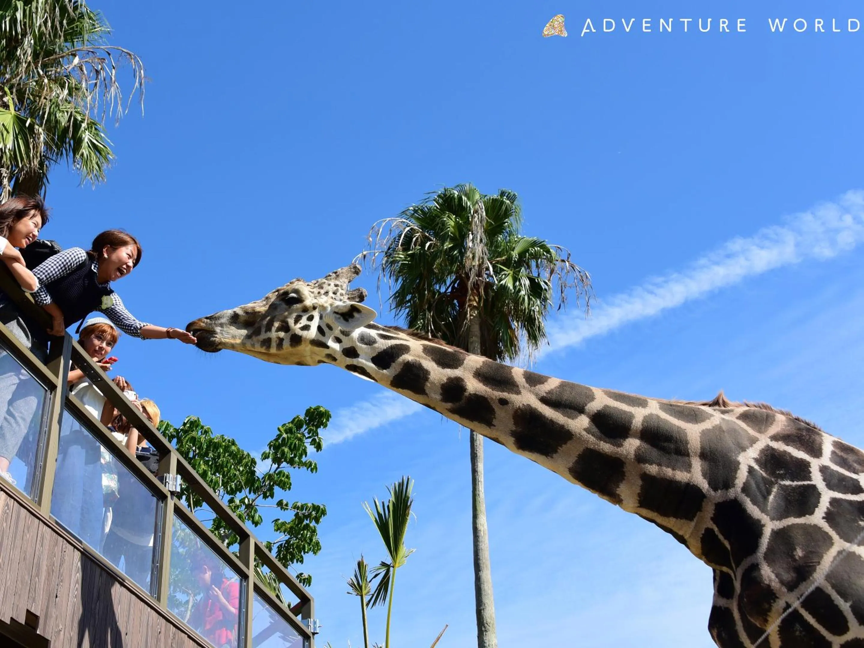 Nearby landmark in Hotel Sanrakuso