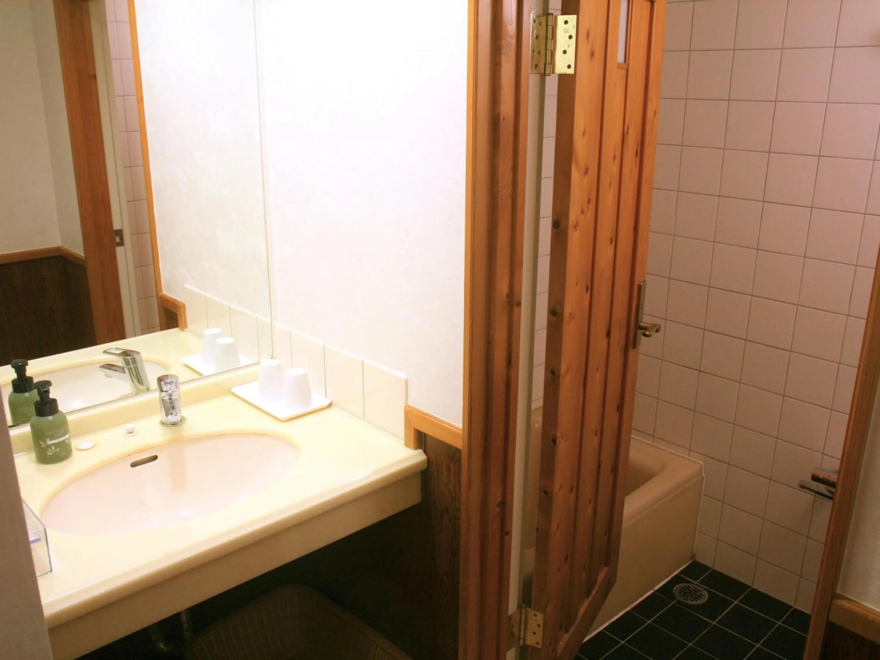 Shower in Hotel Sanrakuso