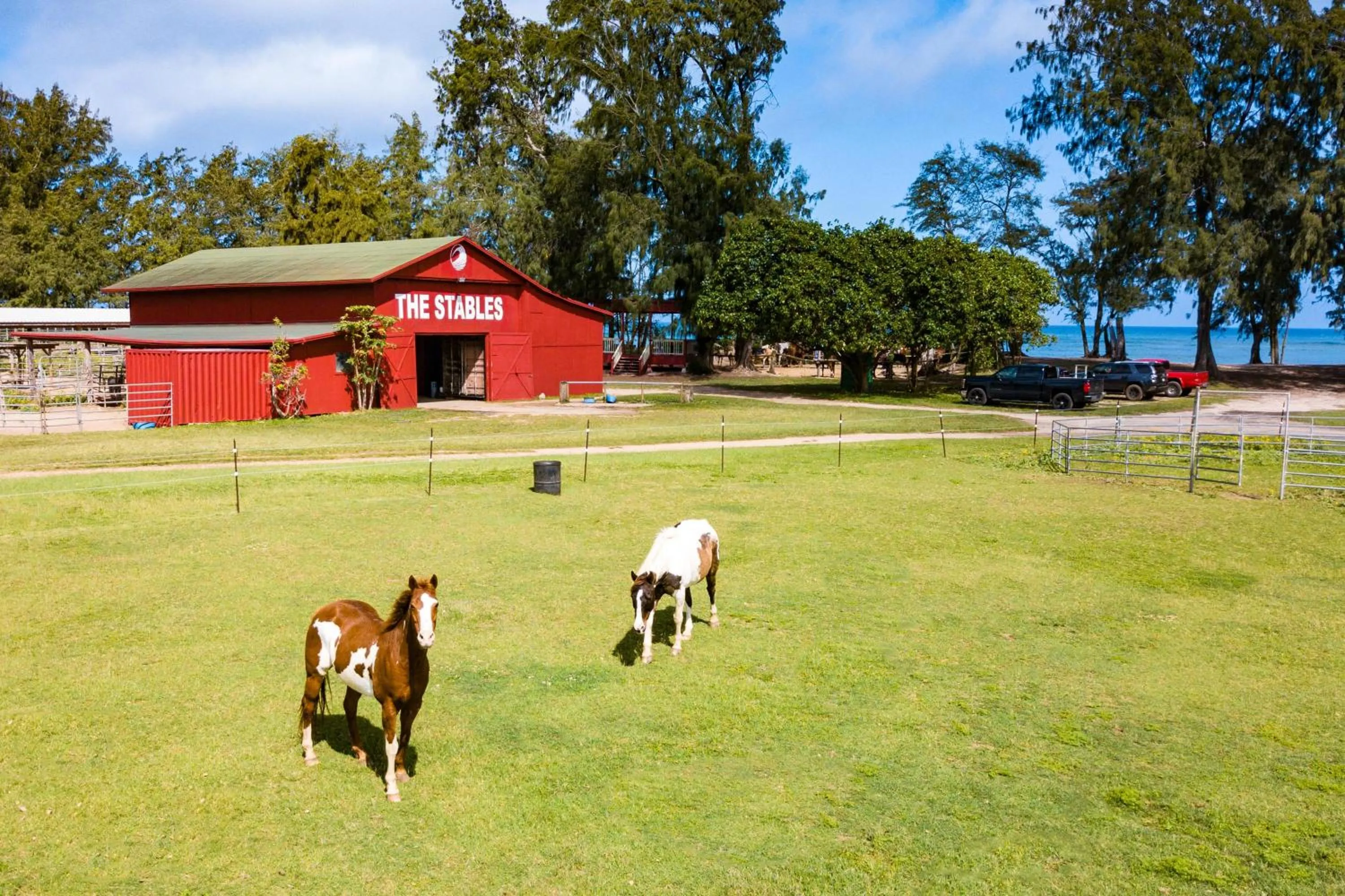 Horse-riding in Ocean Villas at Turtle Bay