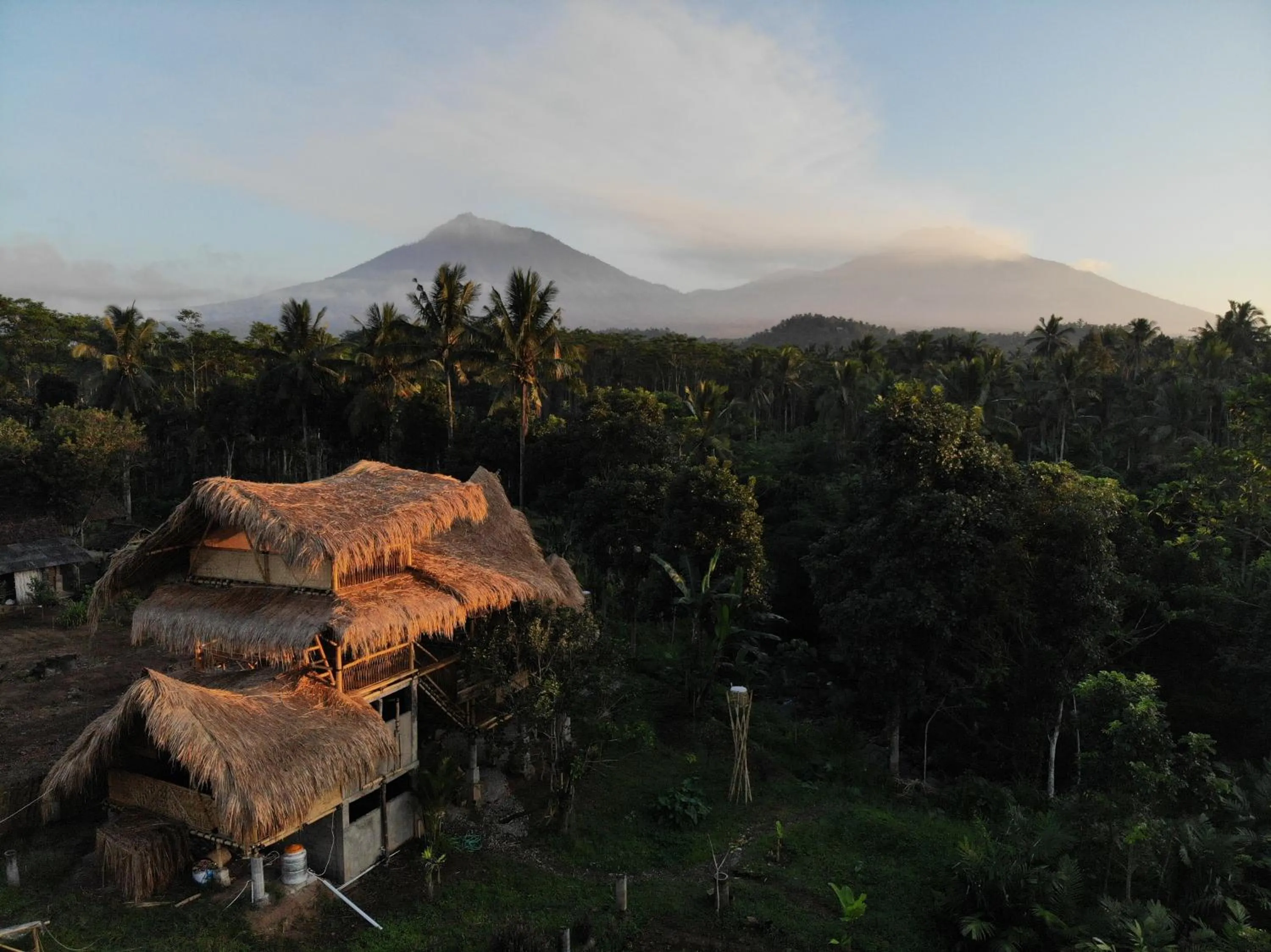 Bird's eye view in Bamboo & B
