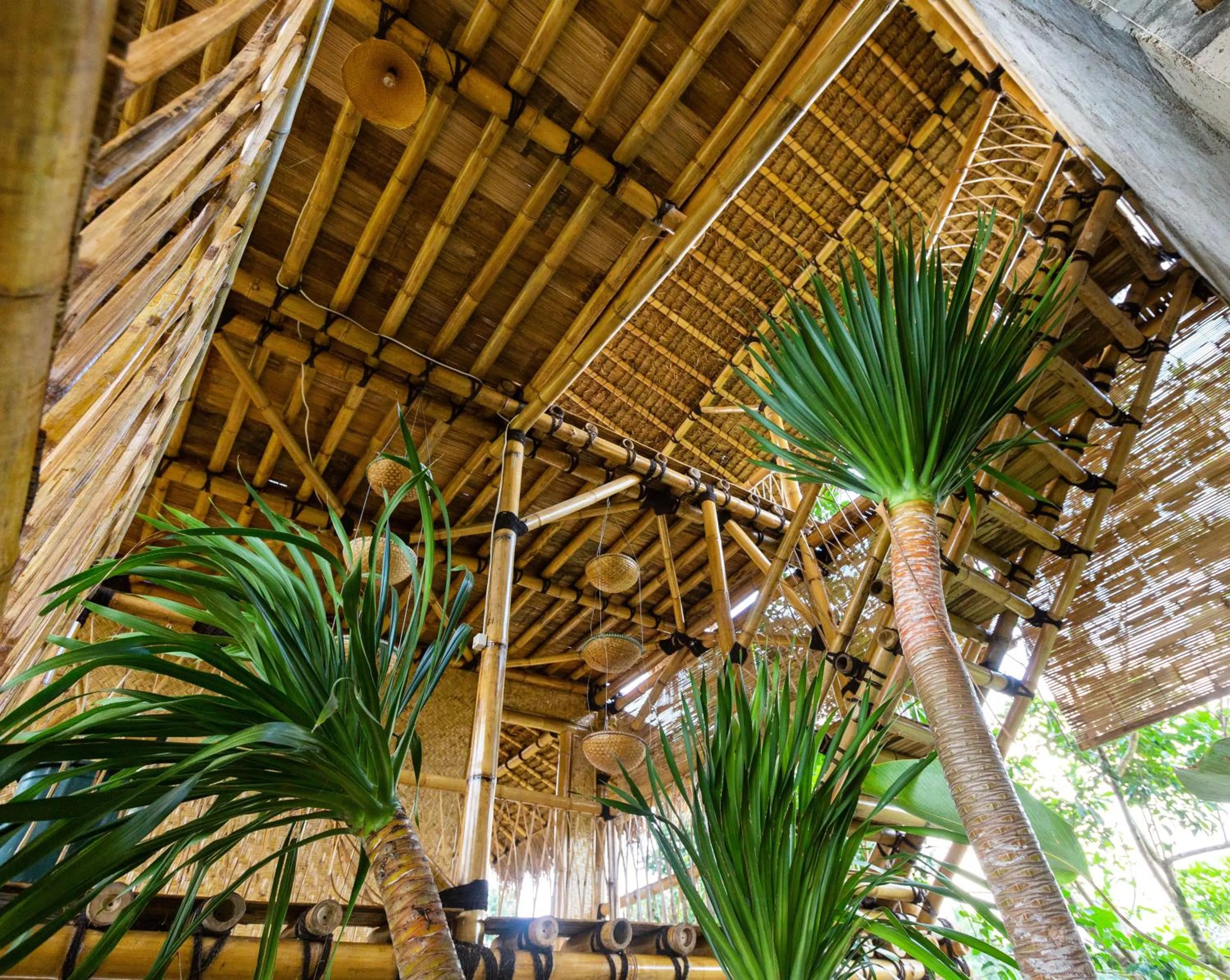 Decorative detail in Bamboo & B