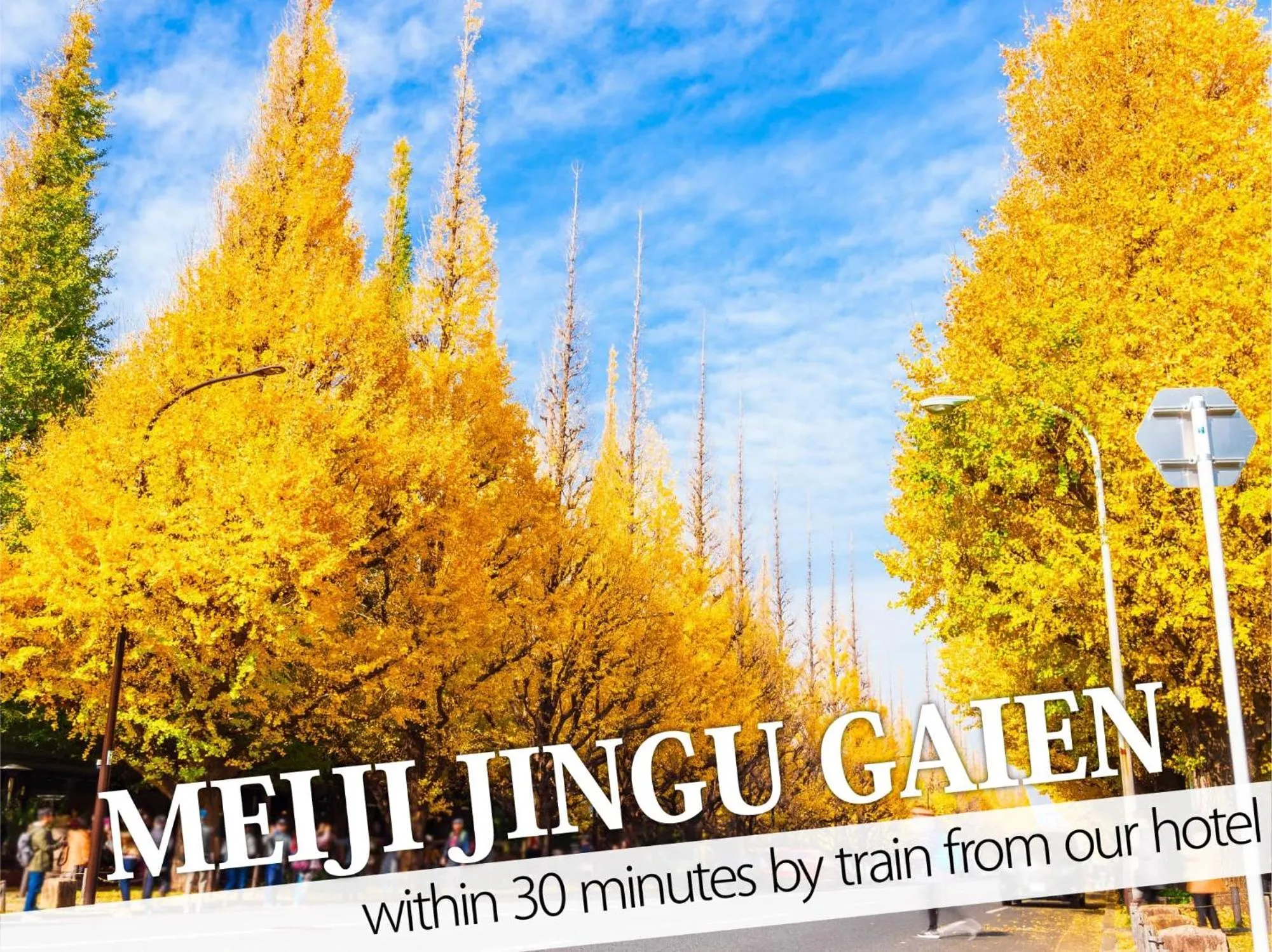 Nearby landmark in Hotel Rocks