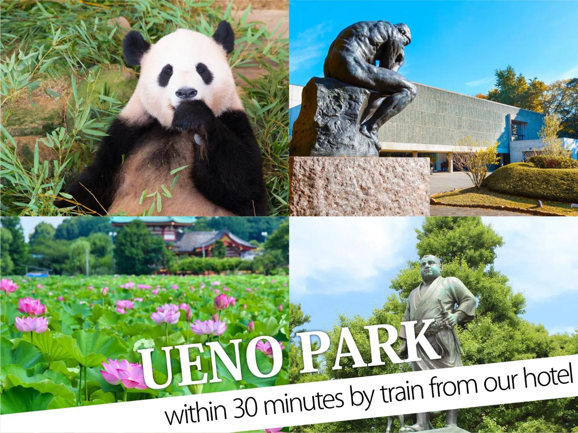 Nearby landmark in Ikebukuro Central Hotel