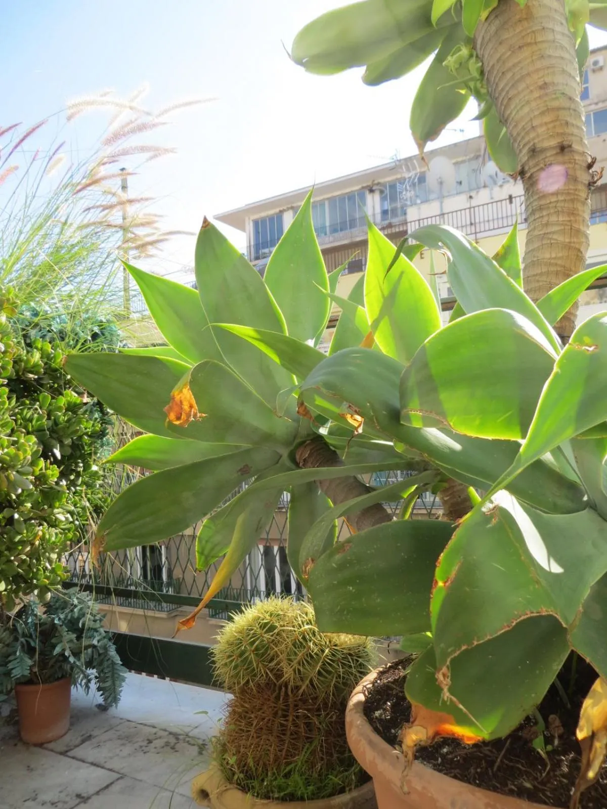 Property building in Ariston Petit Hotel