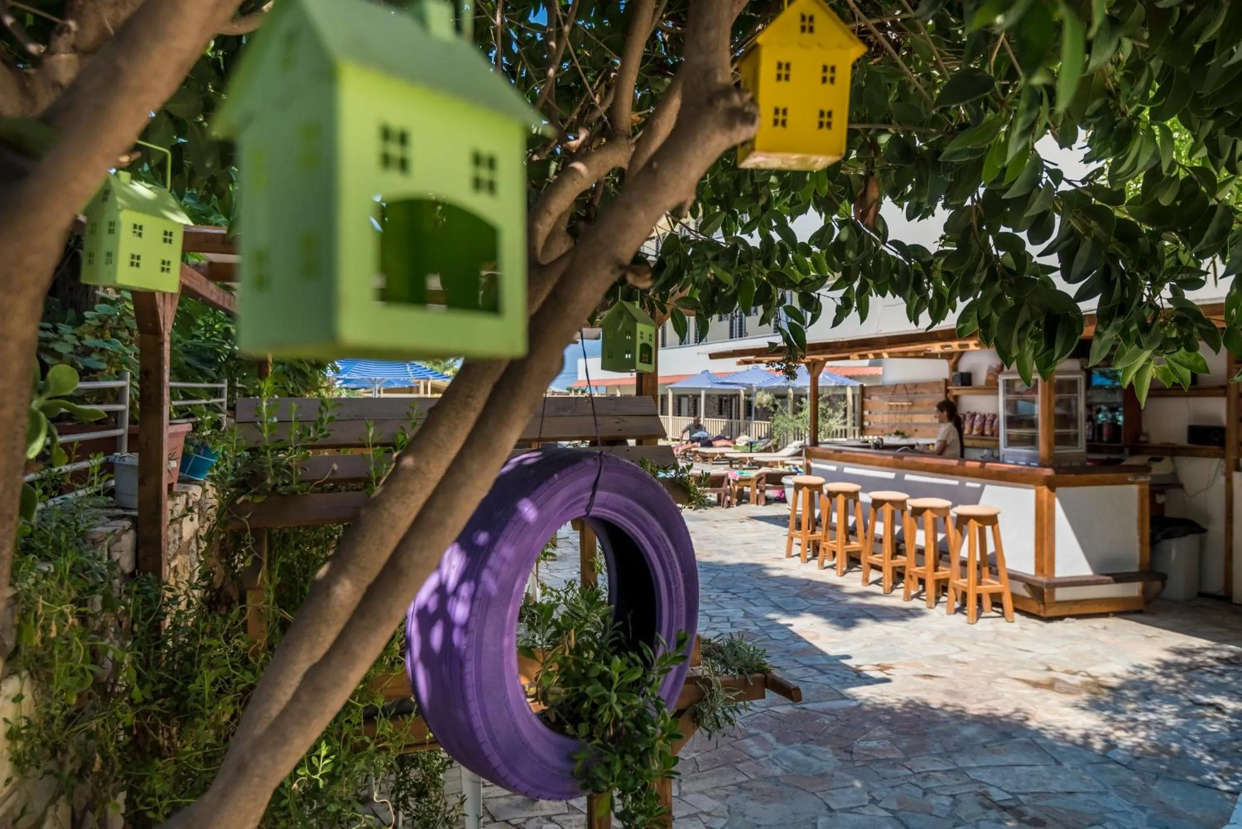 Garden in Sunny Days