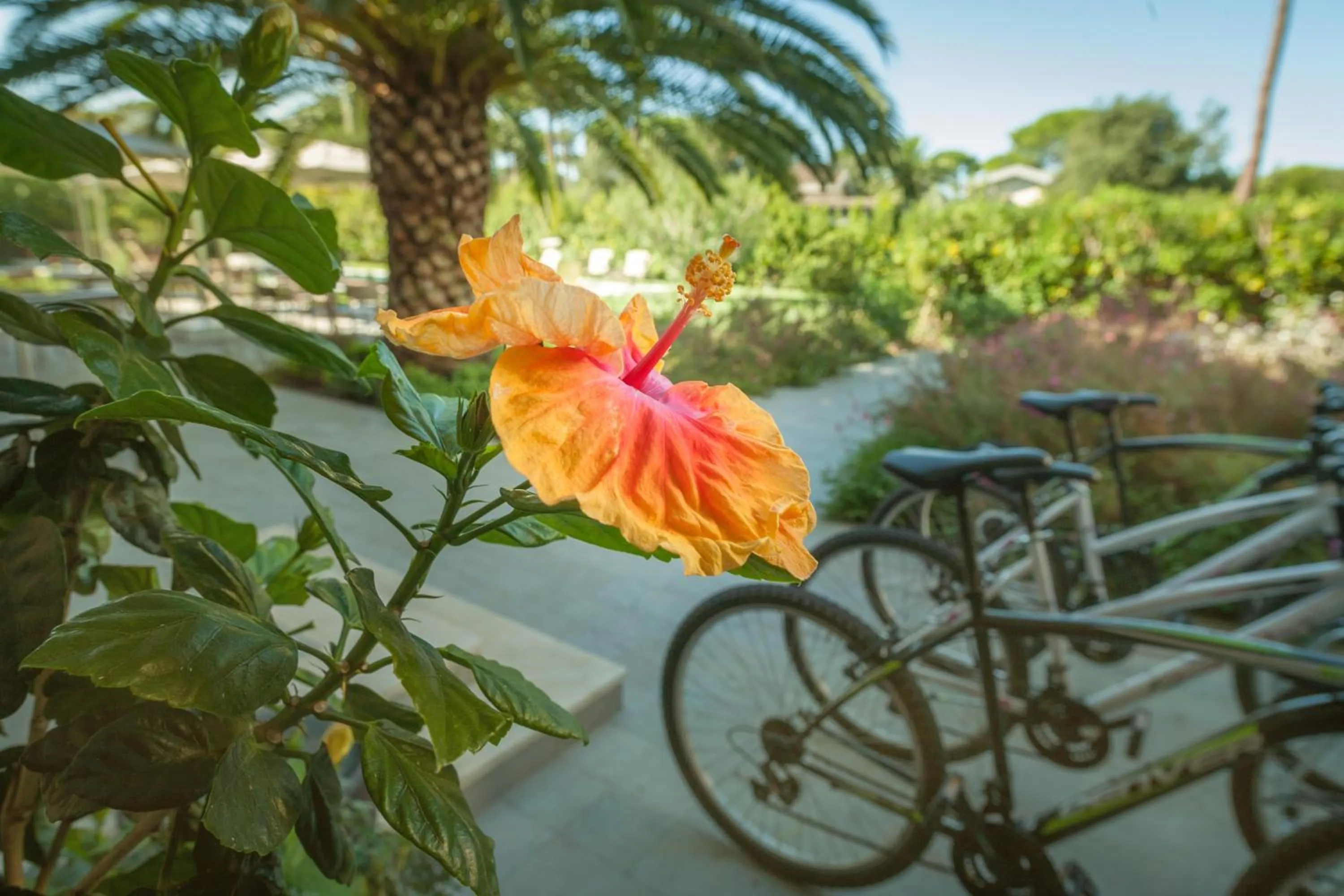 Facade/entrance in Arli Hotel Hideaway Punta Ala - Adults Only