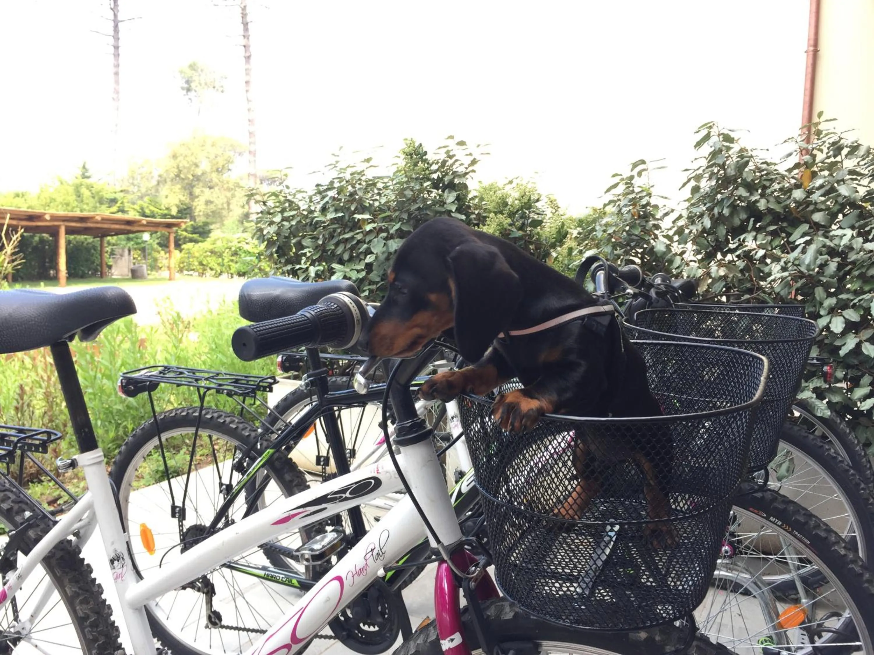 Arli Hotel Hideaway Punta Ala - Adults Only