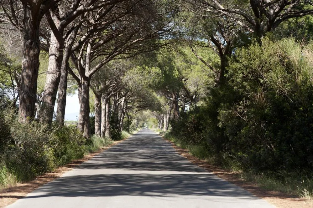 Neighbourhood in Arli Hotel Hideaway Punta Ala - Adults Only