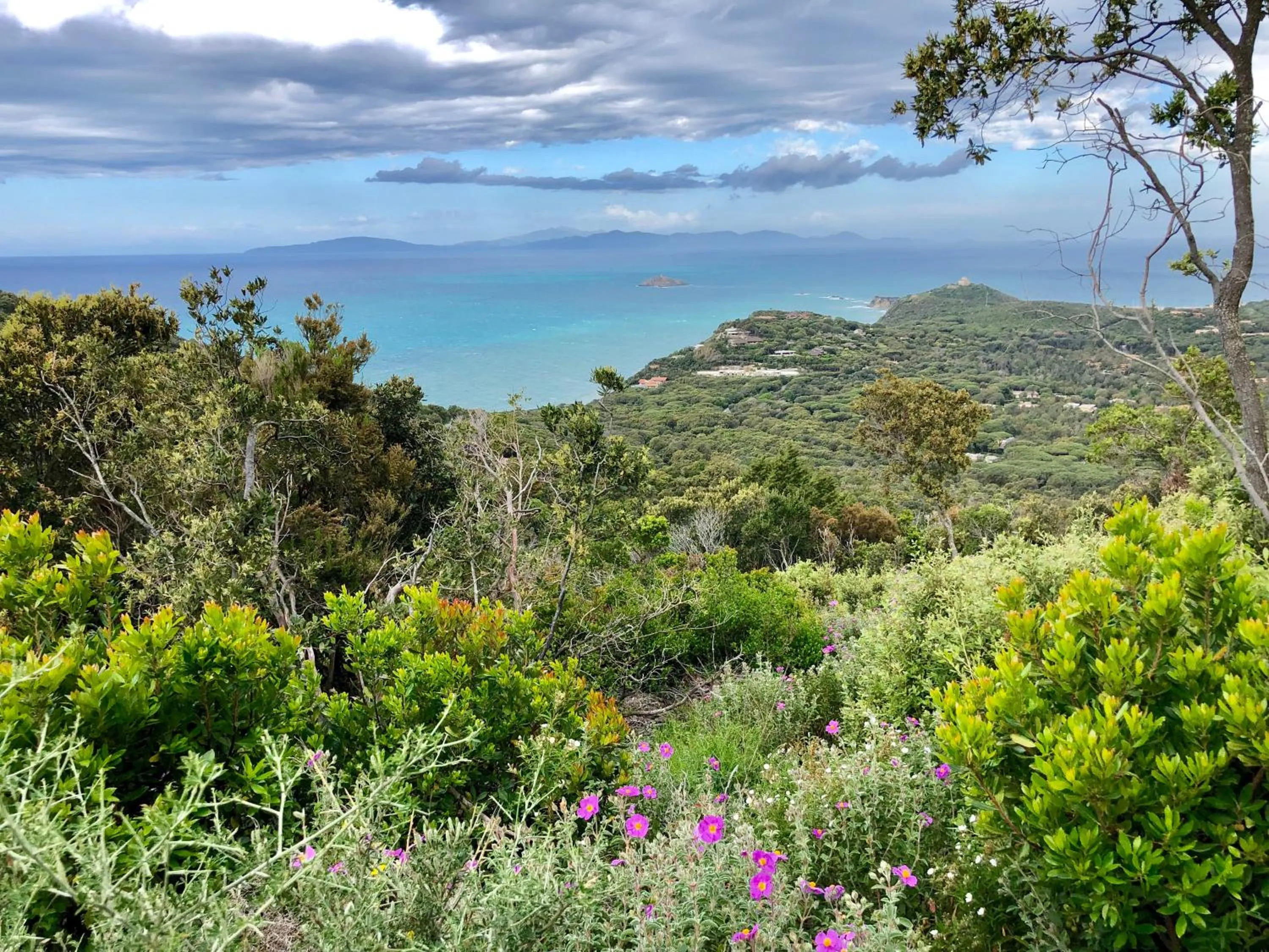 Arli Hotel Hideaway Punta Ala - Adults Only