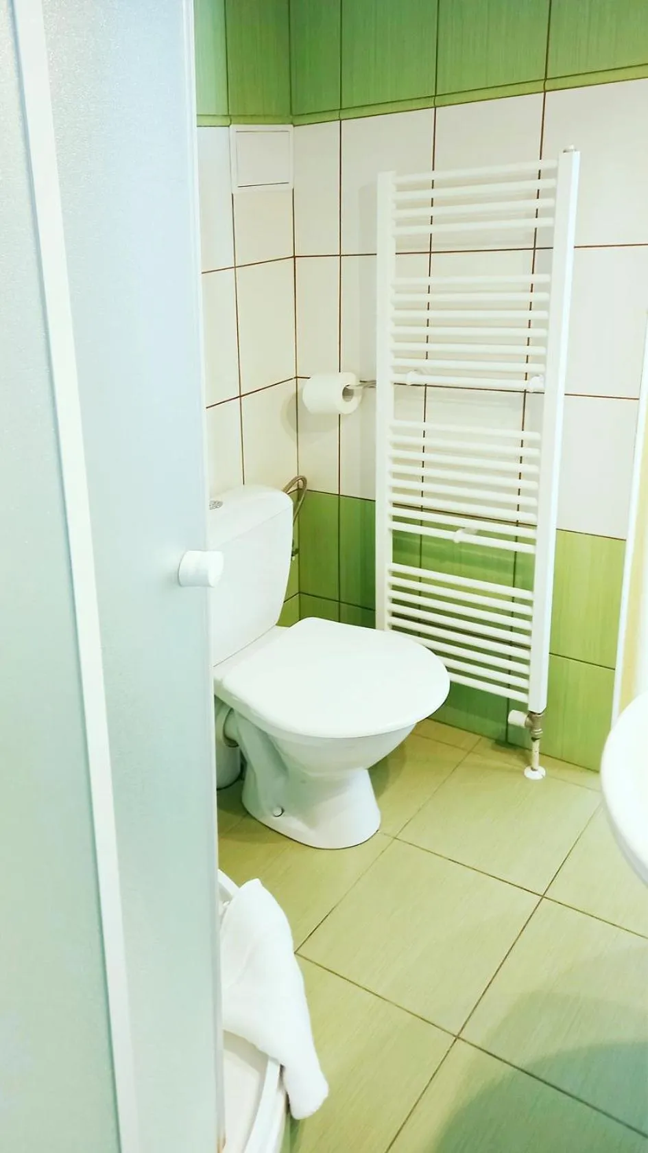 Bathroom in Hotel Hradec