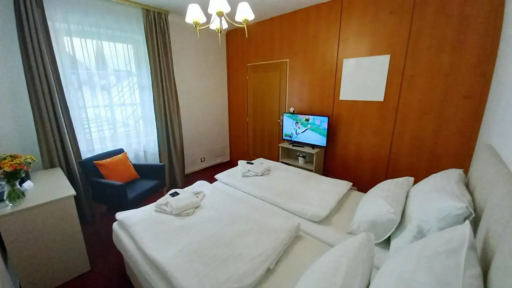 Double Room in Hotel Hradec Double Room in Hotel Hradec