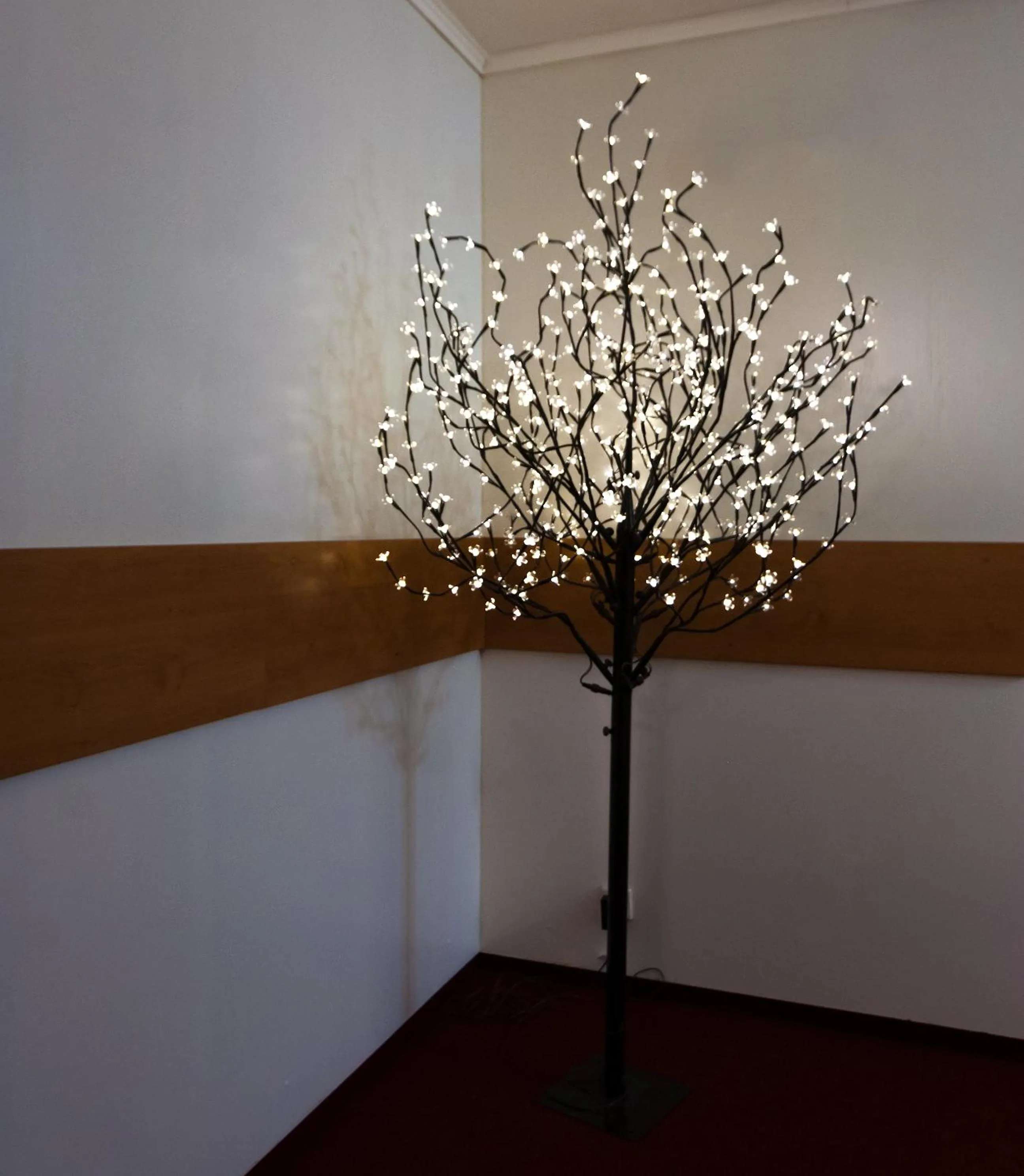 Property building in Hotel Hradec